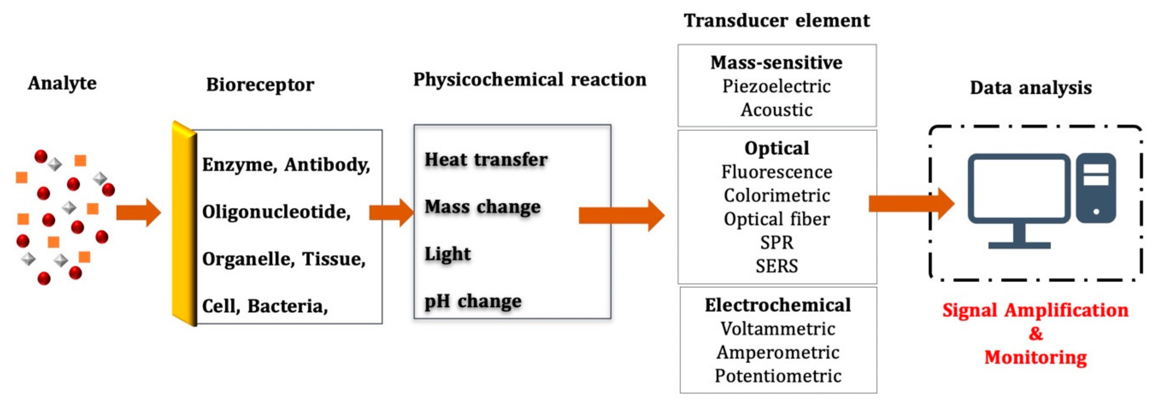 Chemosensors 10 00106 g001
