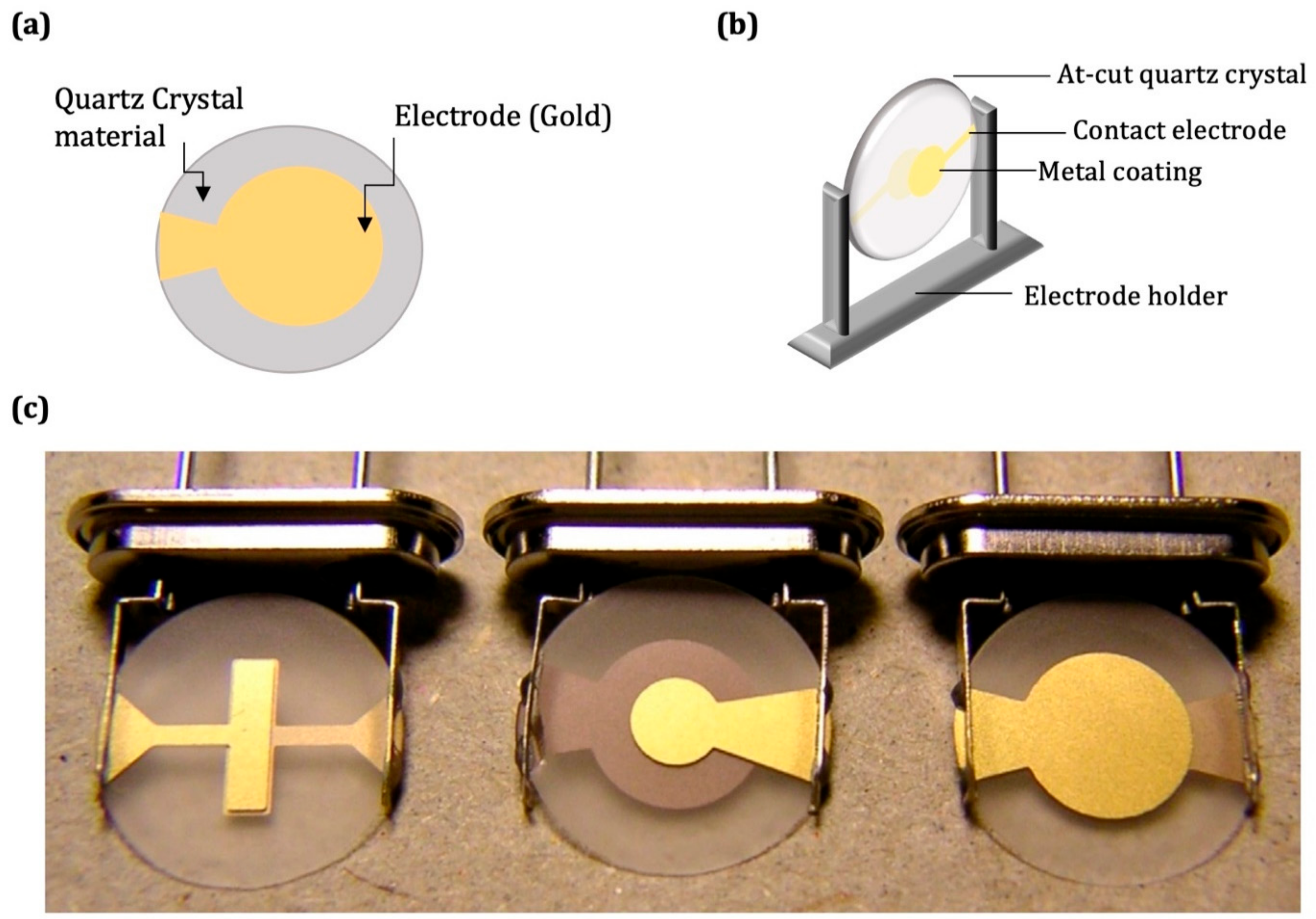 Chemosensors 10 00106 g002