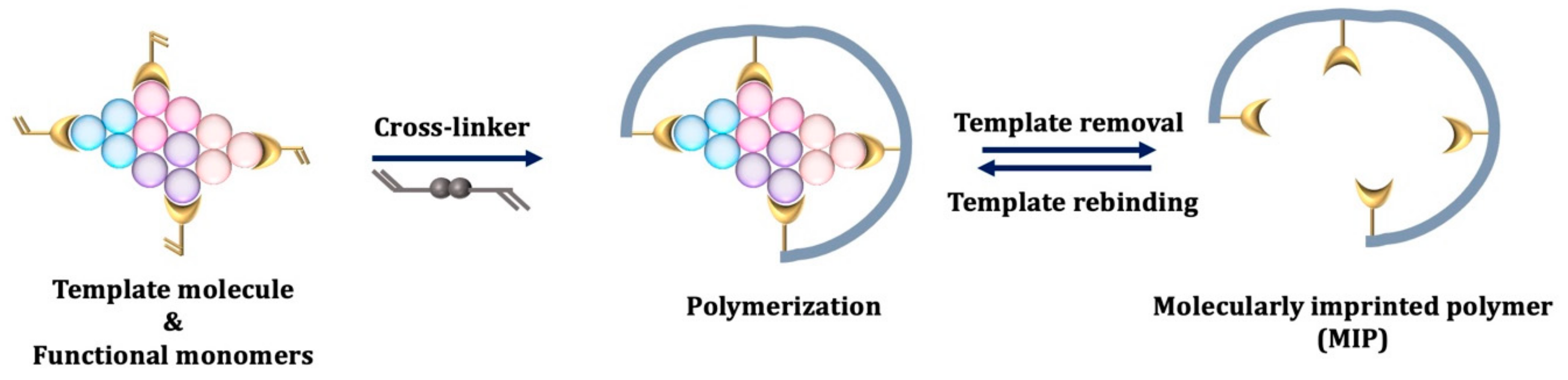 Chemosensors 10 00106 g003