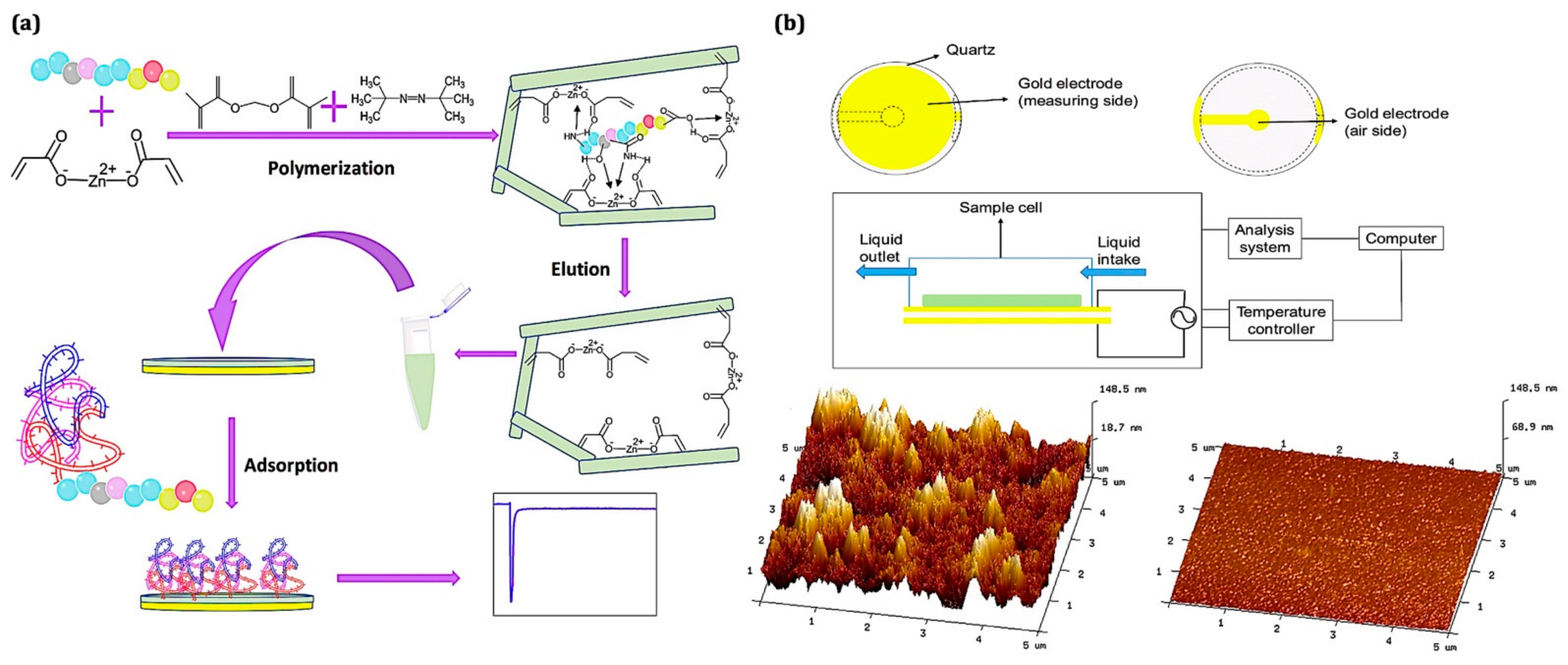 Chemosensors 10 00106 g004