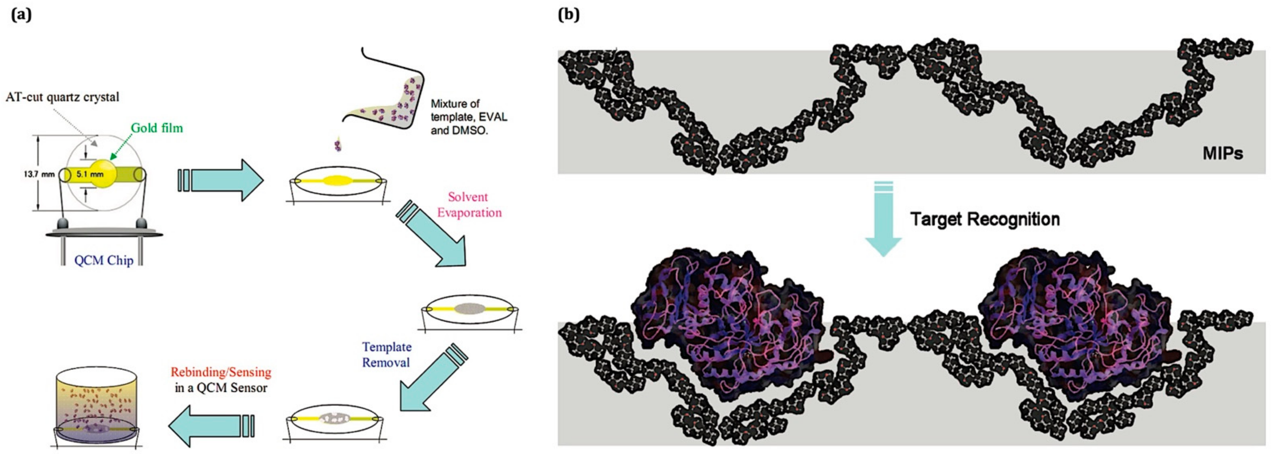 Chemosensors 10 00106 g005
