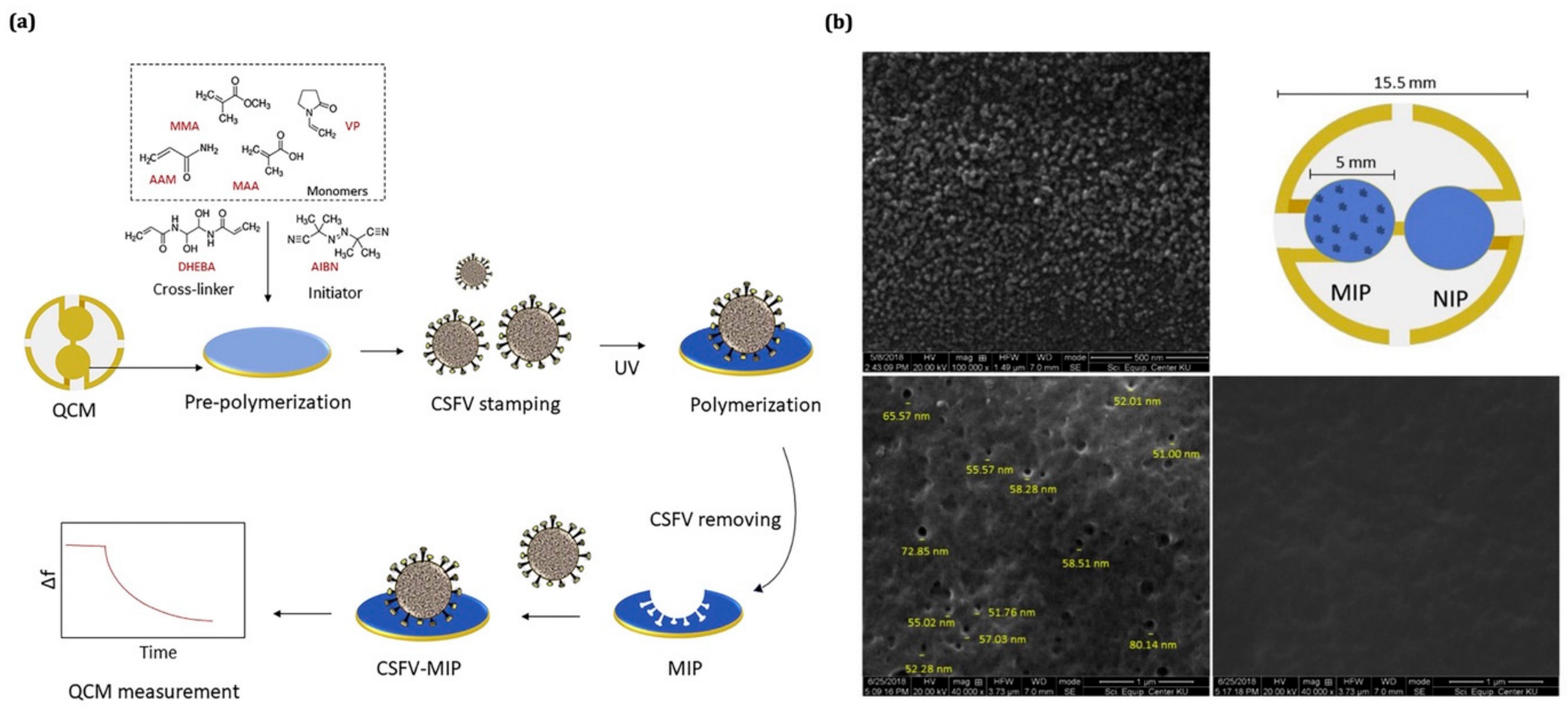 Chemosensors 10 00106 g008