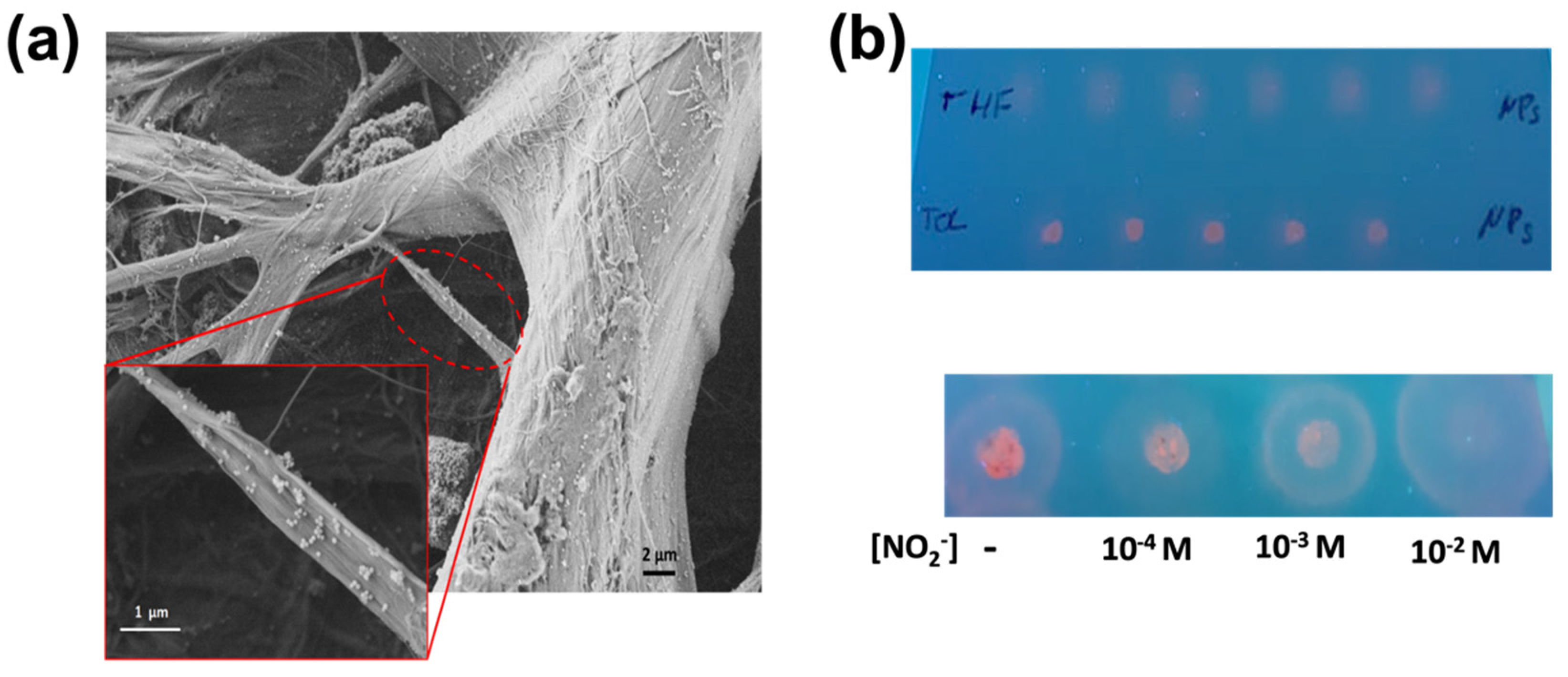 Chemosensors 10 00107 g008 550