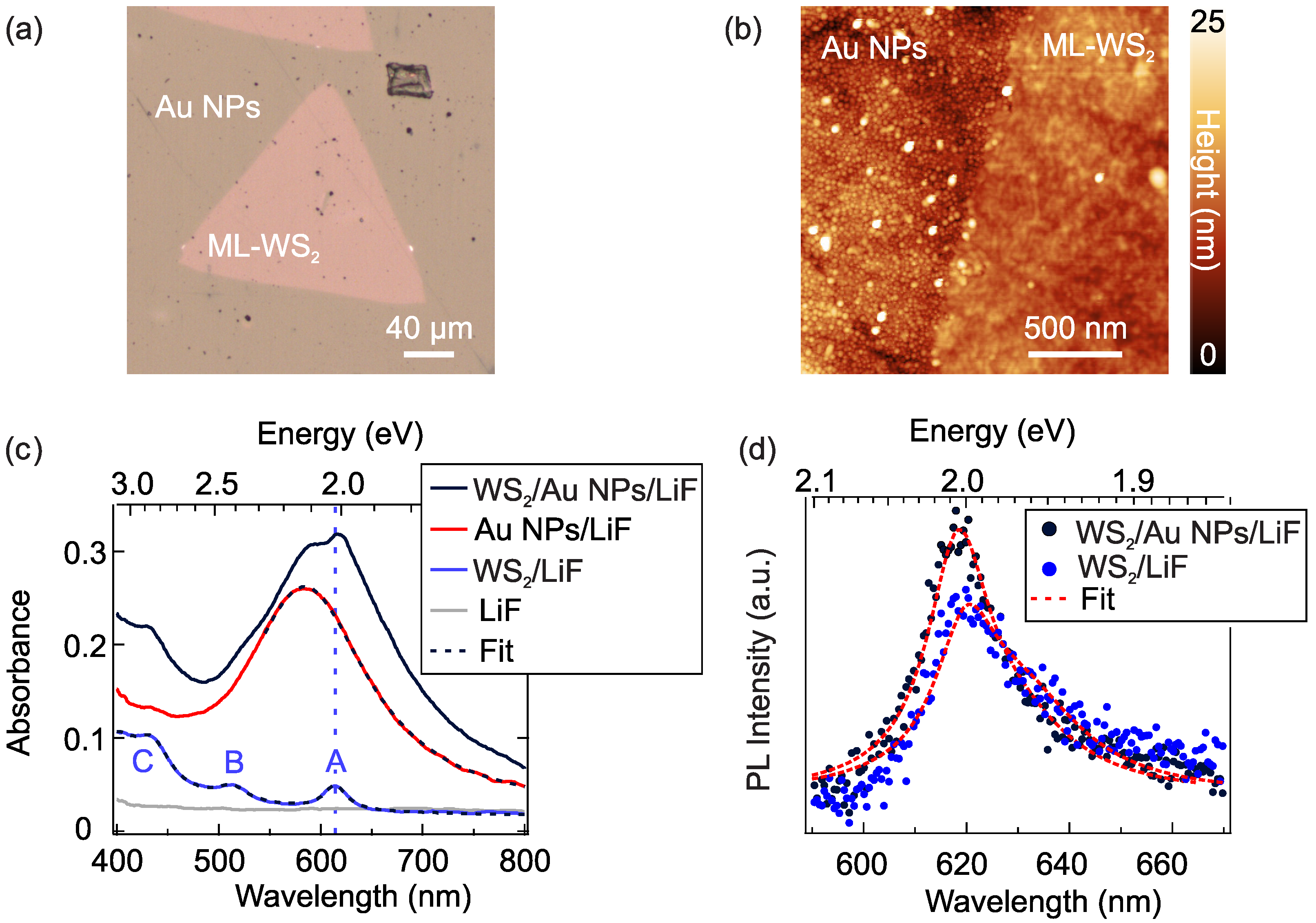 Chemosensors 10 00120 g001 550