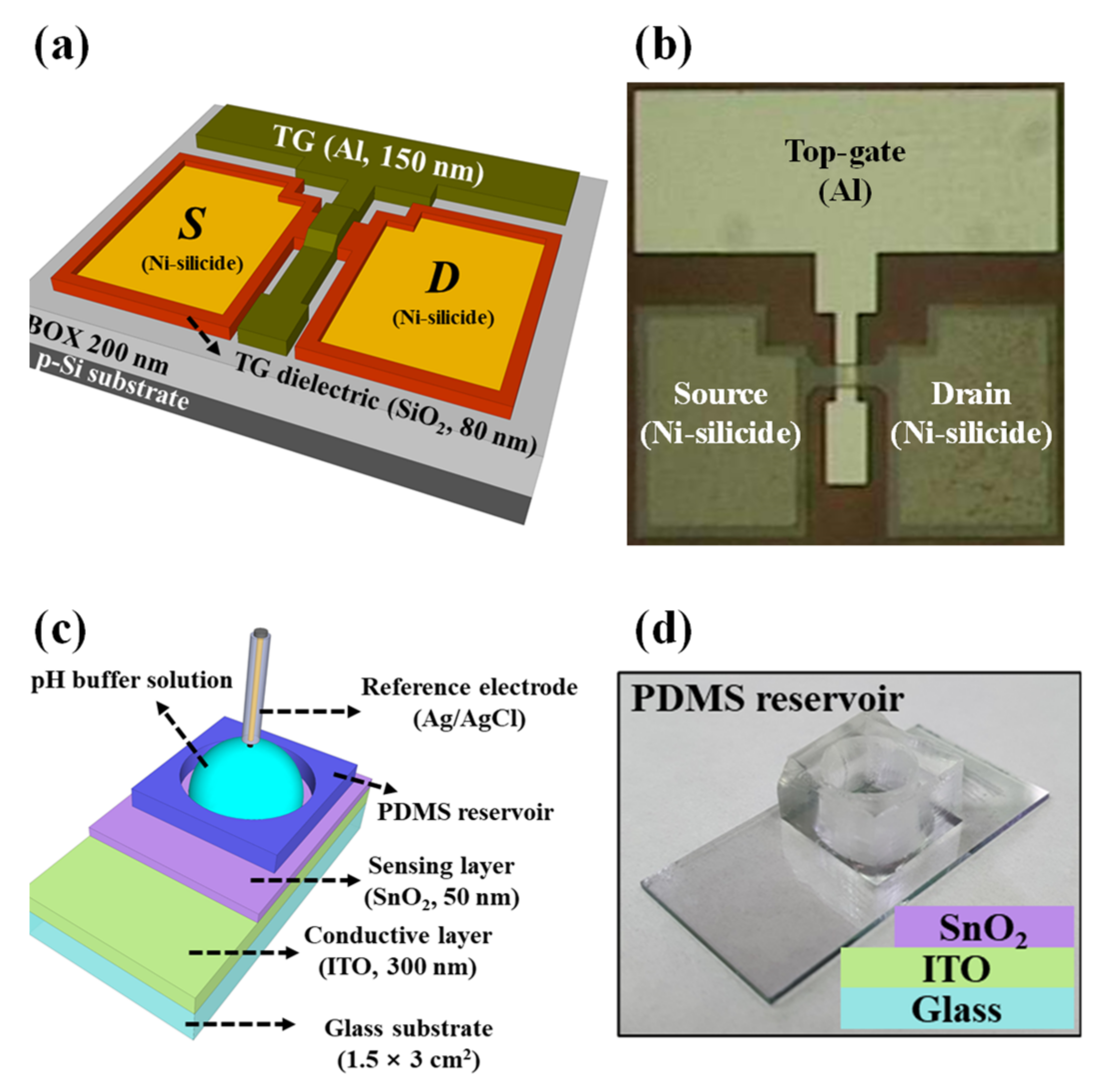 Chemosensors 10 00122 g001