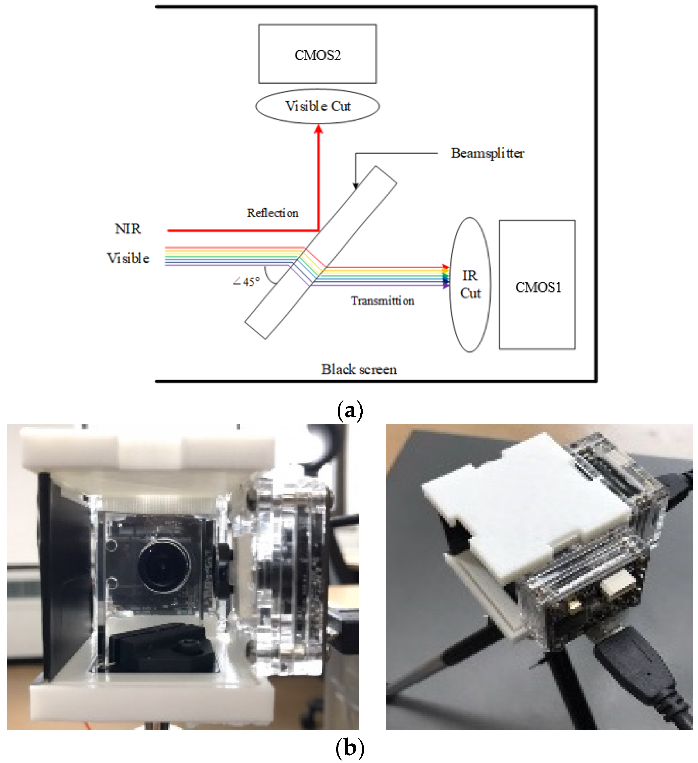 Chemosensors 10 00124 g005