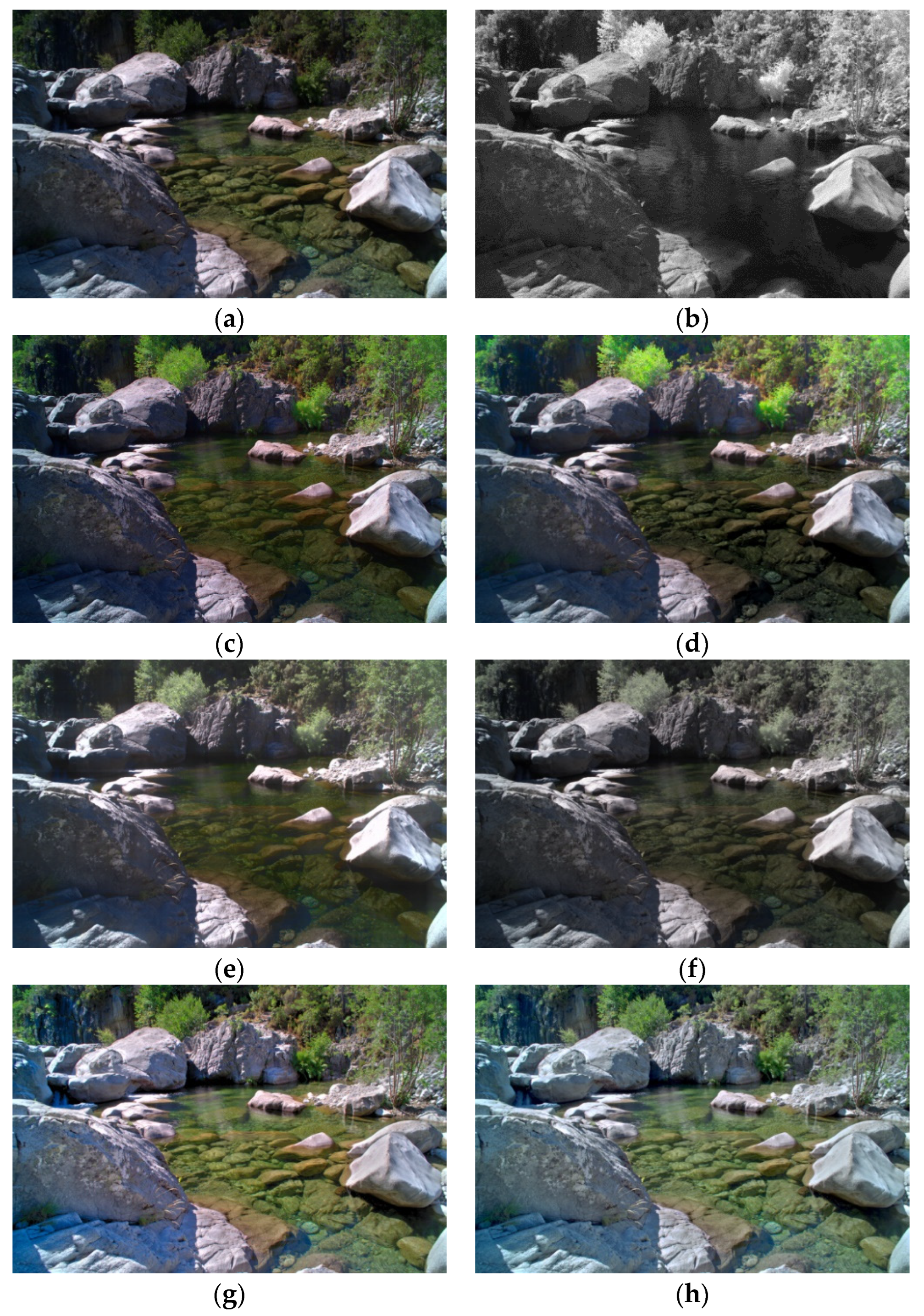 Chemosensors 10 00124 g010