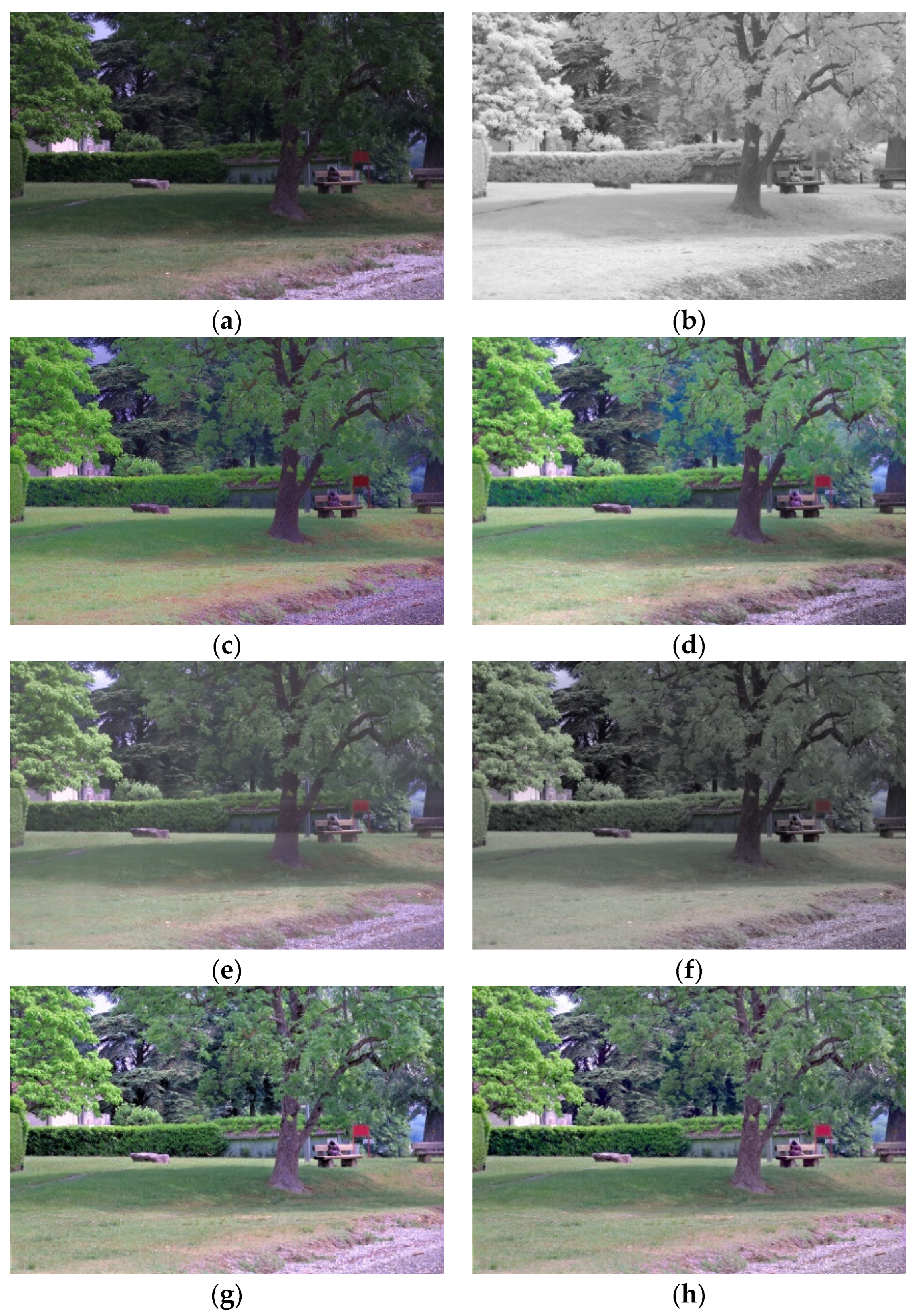 Chemosensors 10 00124 g013