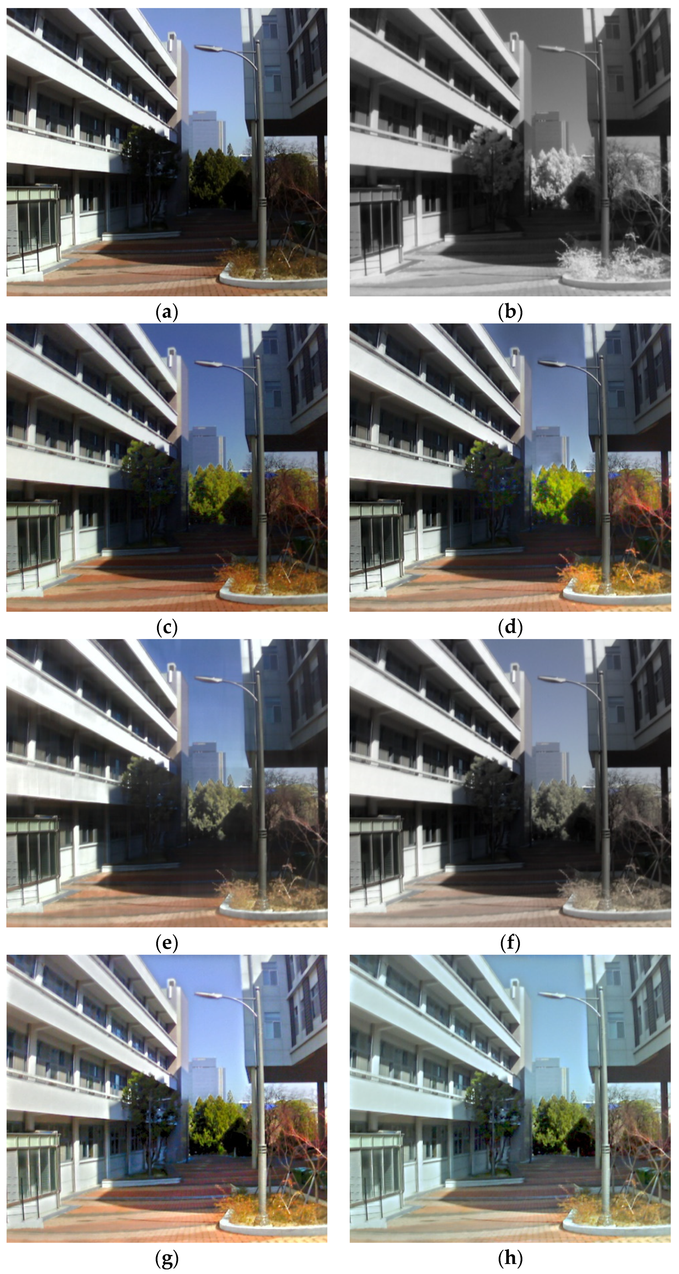 Chemosensors 10 00124 g014