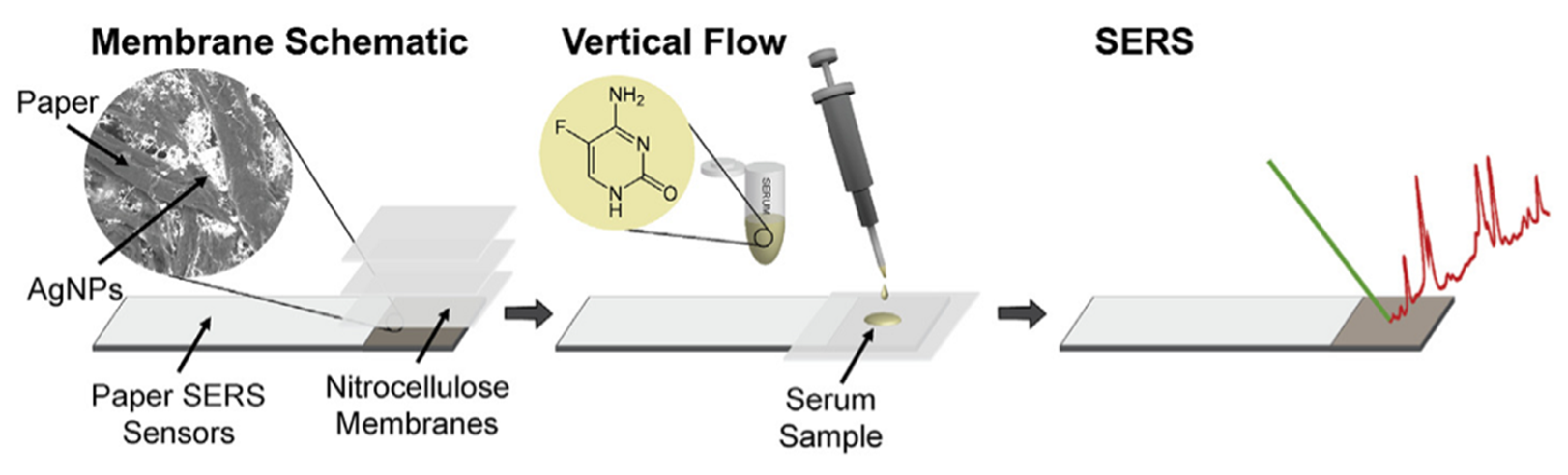 Chemosensors 10 00128 g005 550