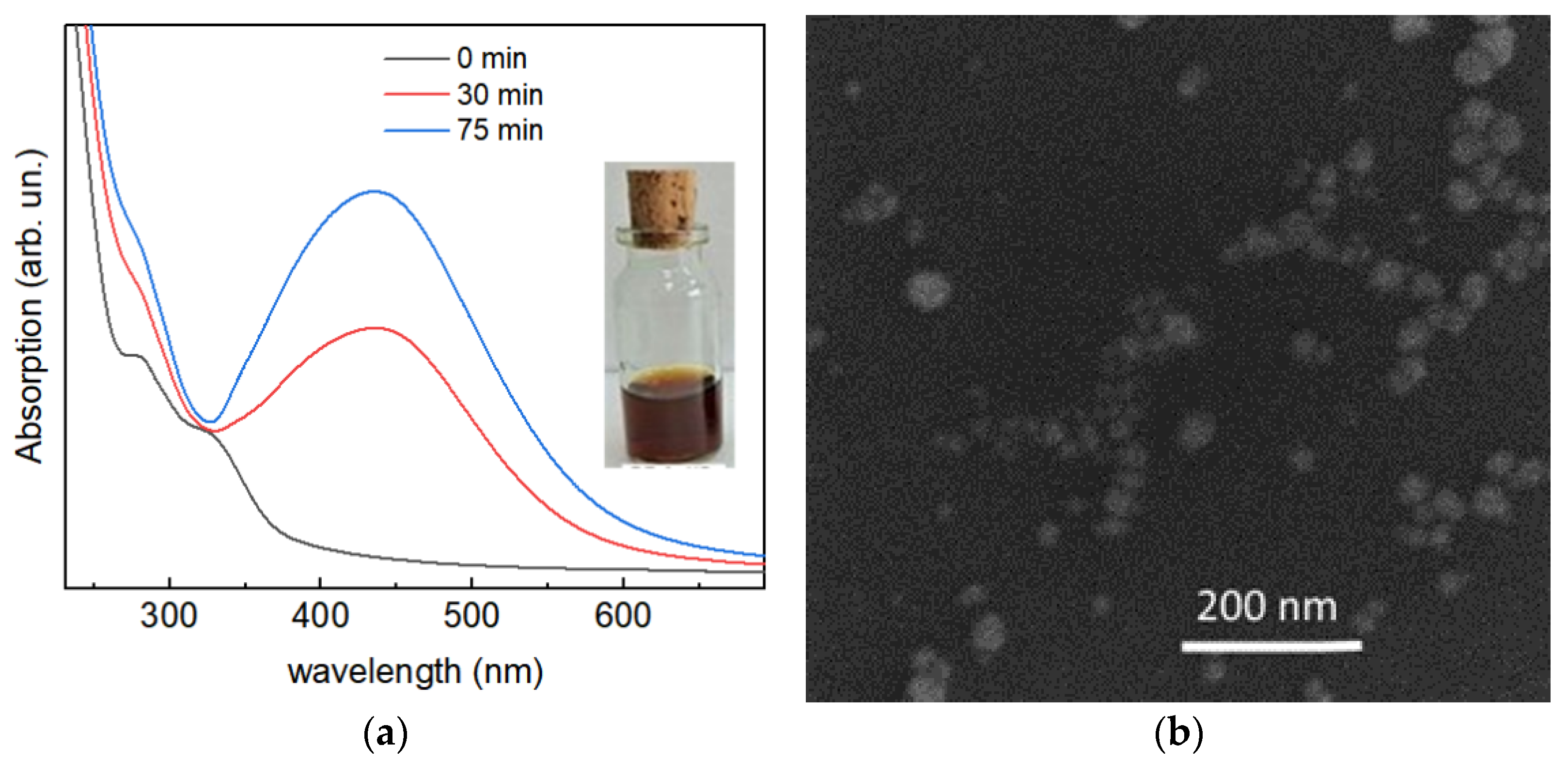 Chemosensors 10 00129 g001