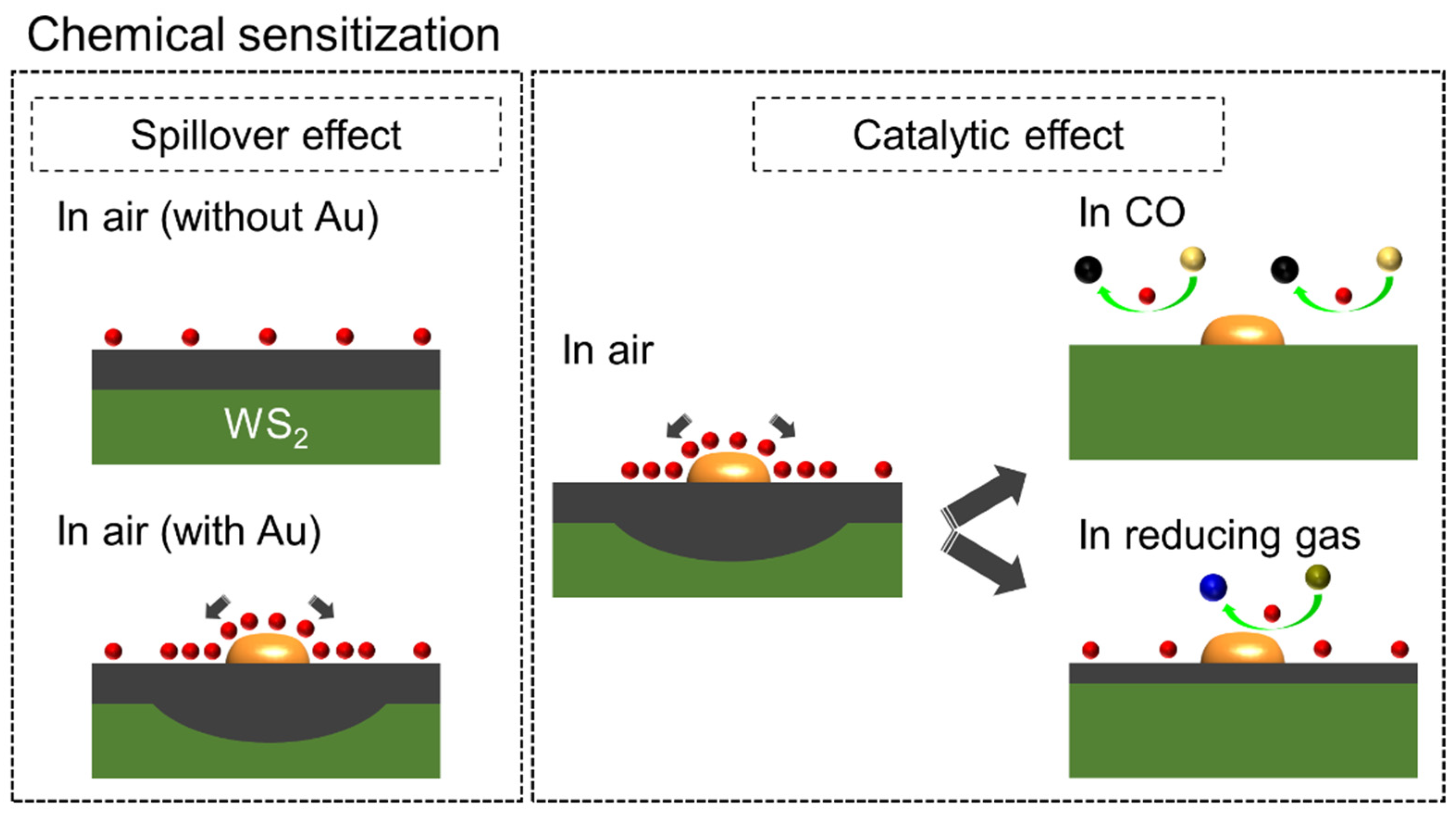 Chemosensors 10 00132 g010 550