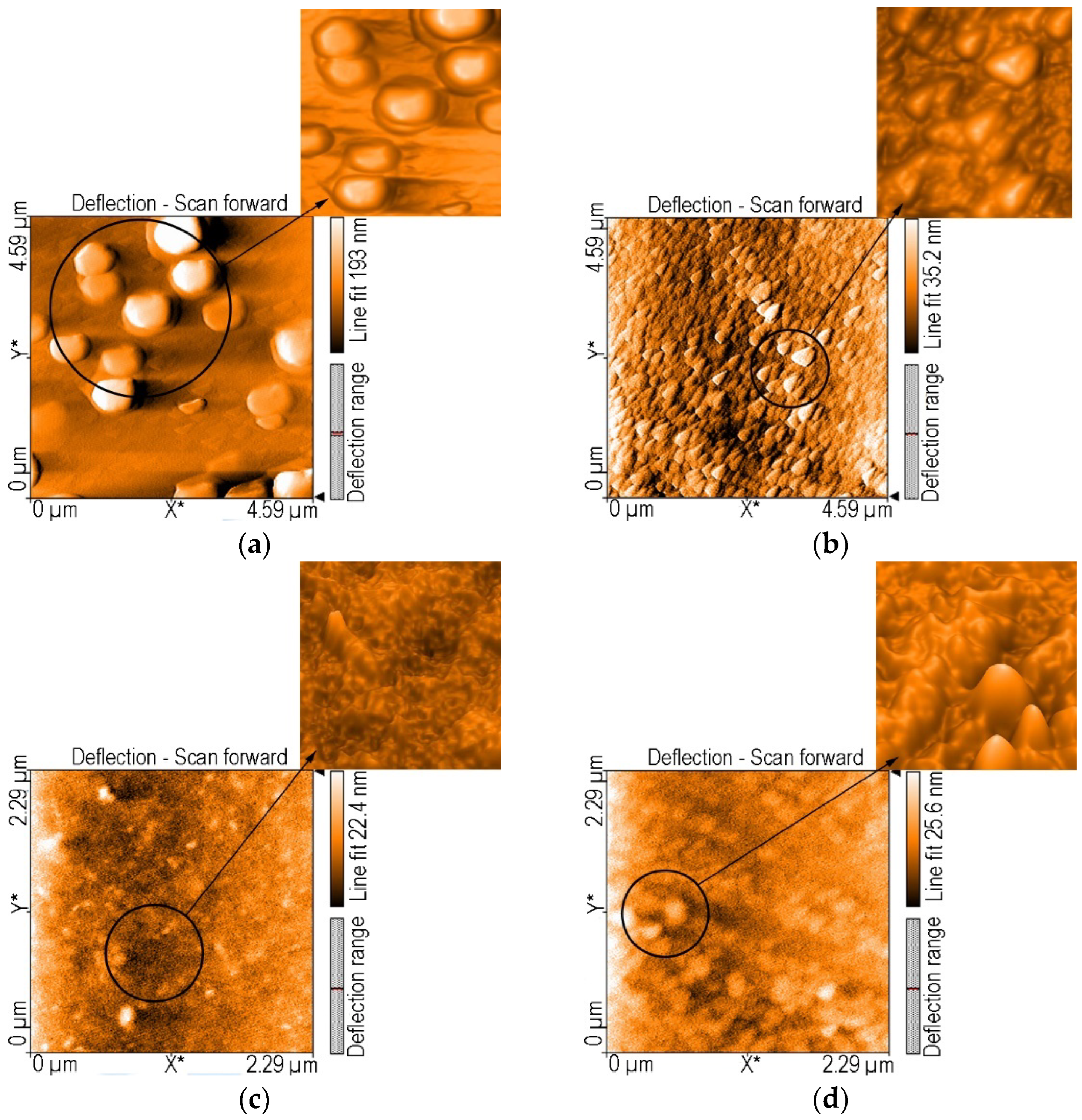 Chemosensors 10 00133 g008