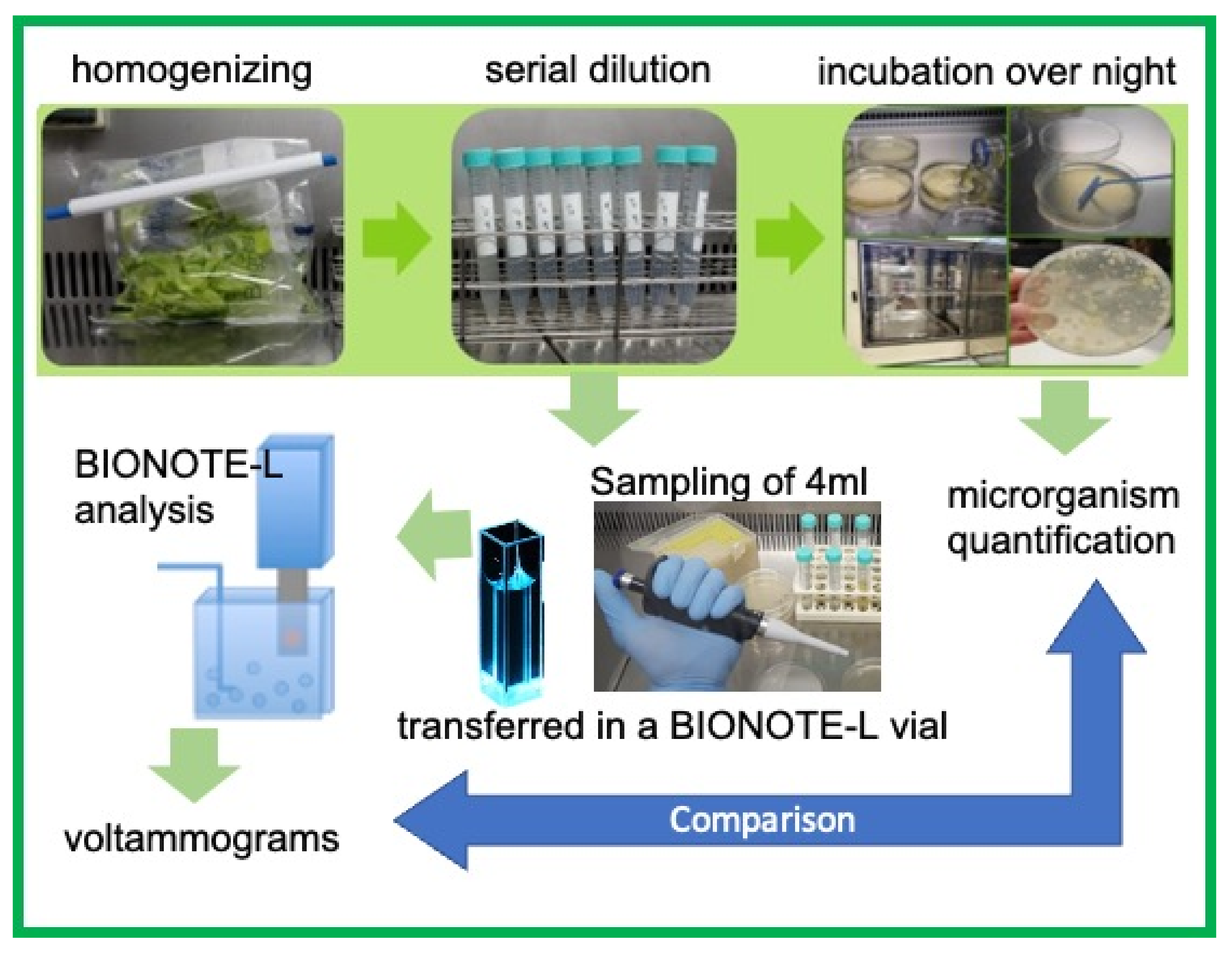 Chemosensors 10 00134 g001 550