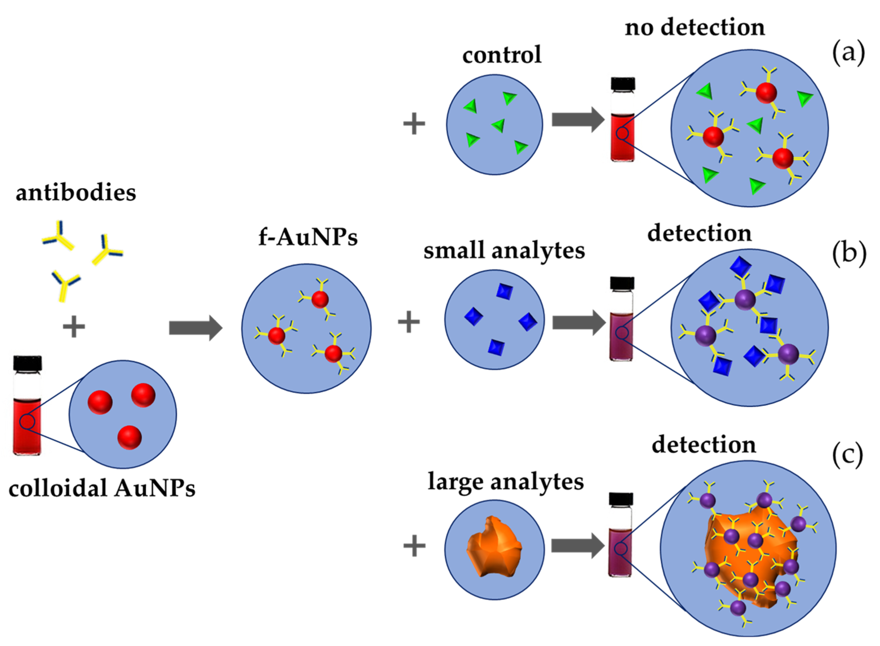 Chemosensors 10 00136 g009 550
