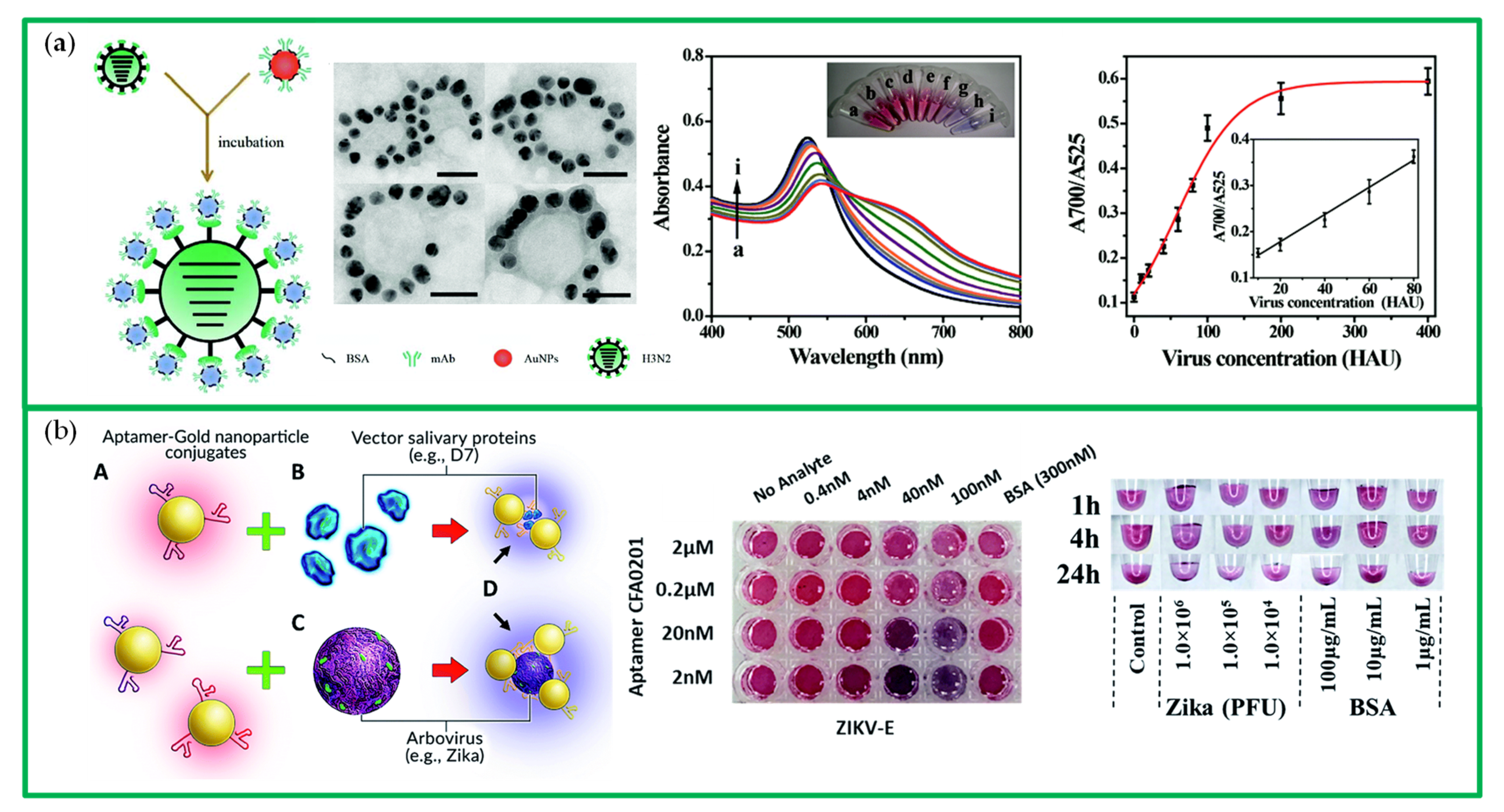 Chemosensors 10 00136 g011 550