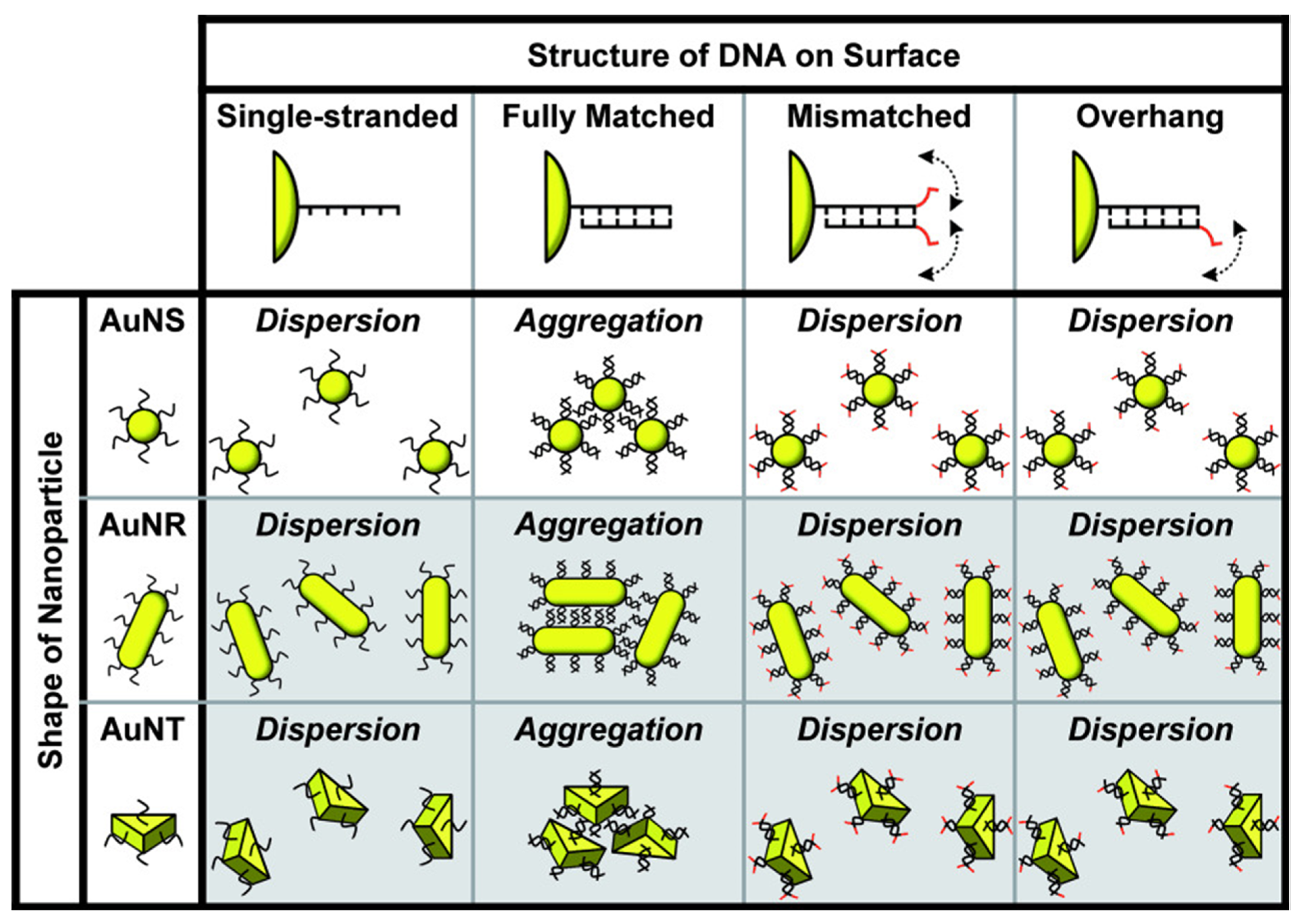 Chemosensors 10 00136 g012 550