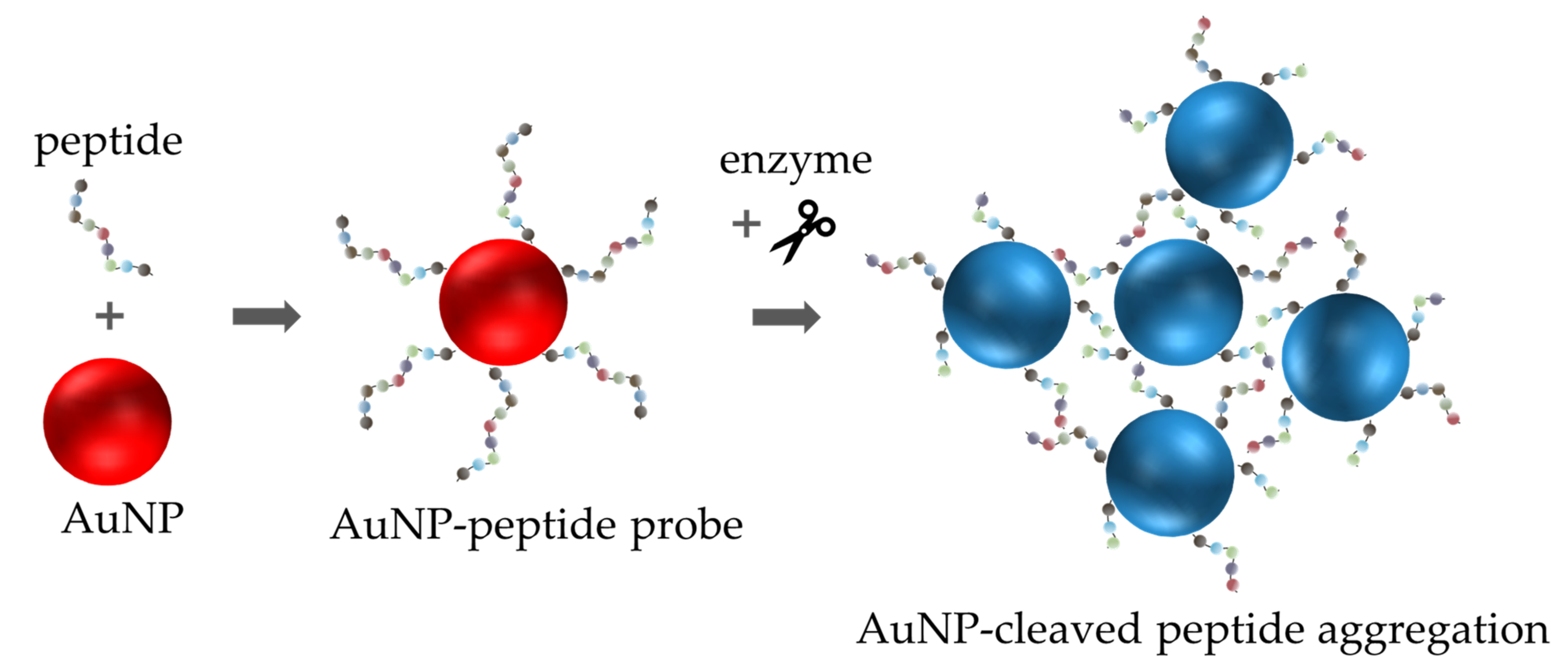 Chemosensors 10 00136 g015 550