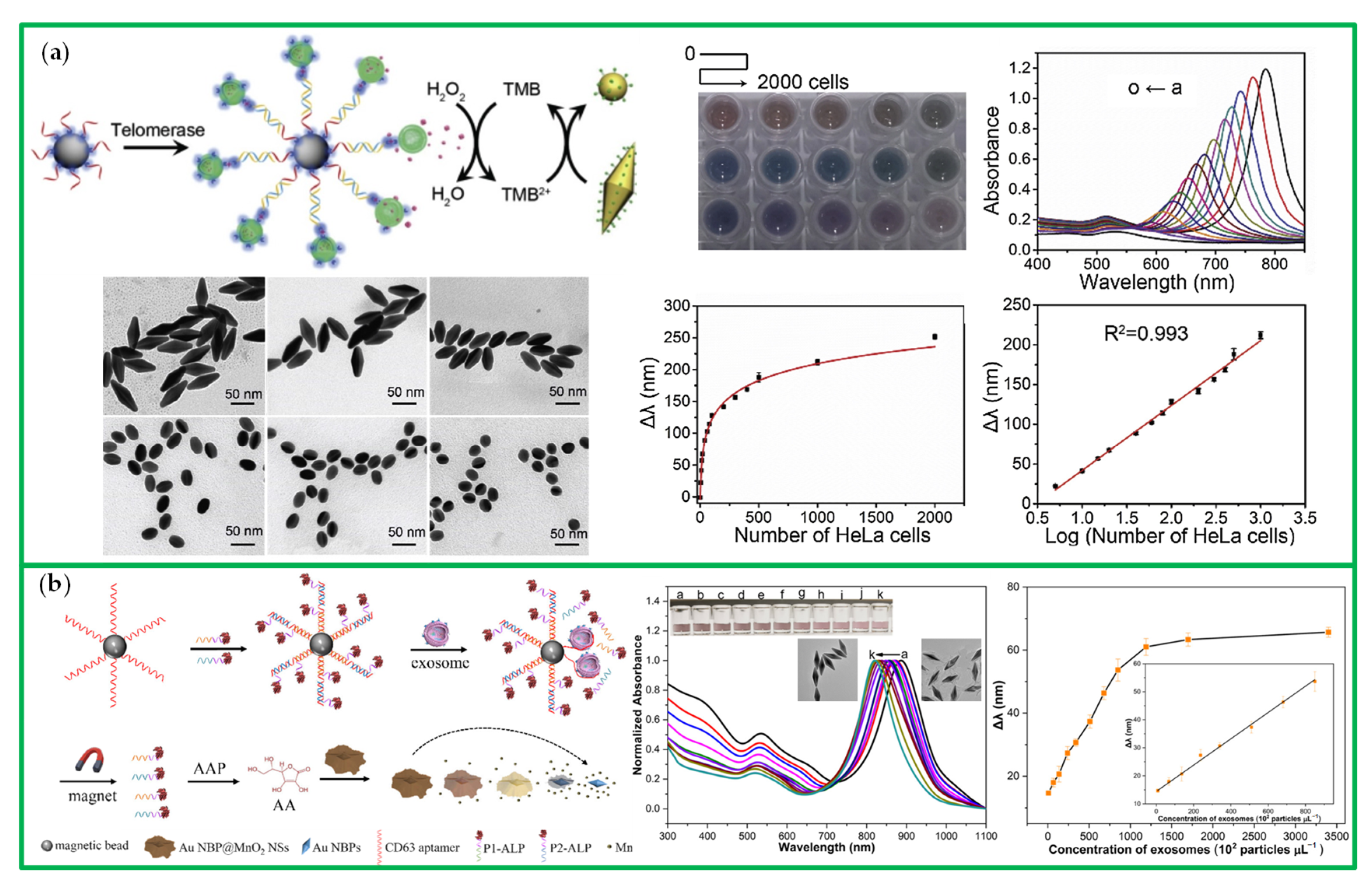 Chemosensors 10 00136 g021 550