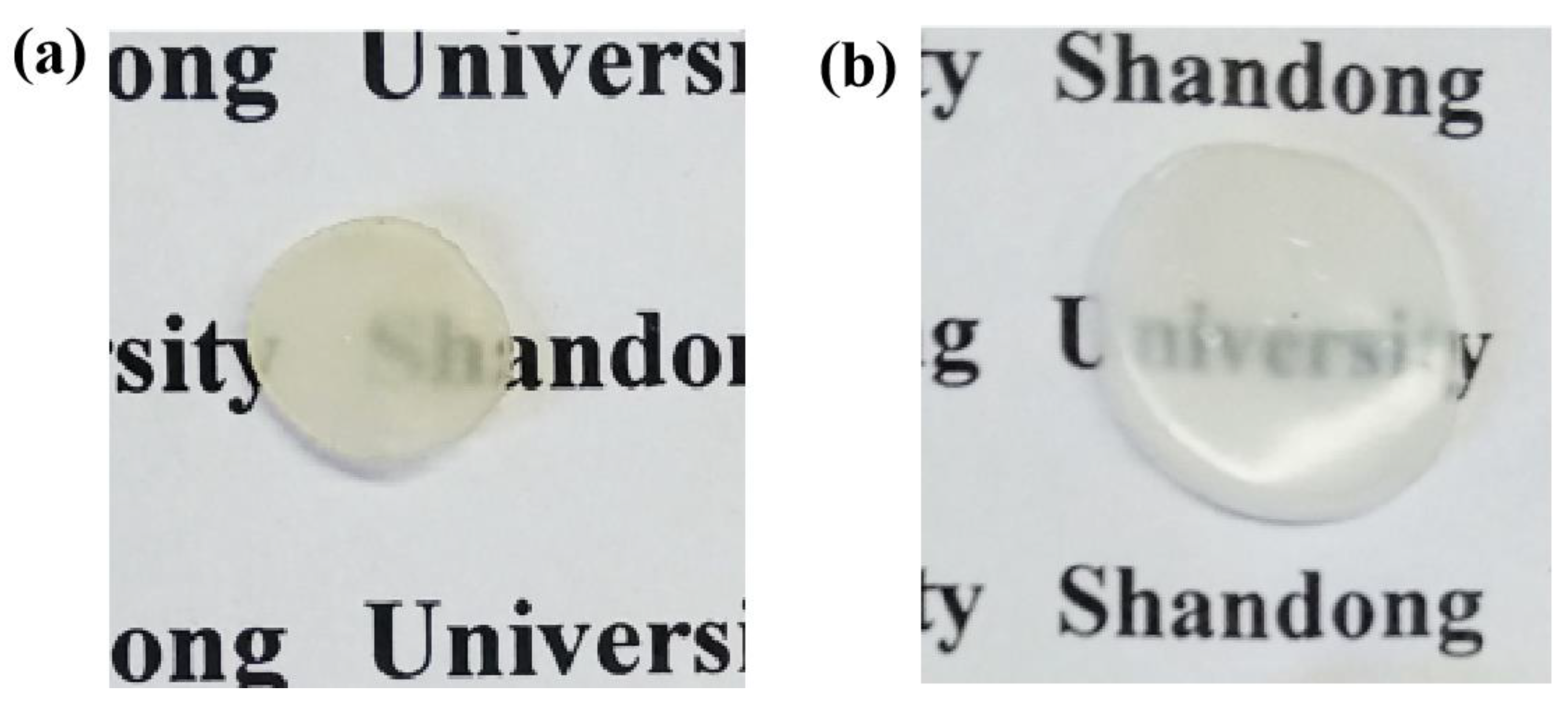 Chemosensors 10 00140 g002 550