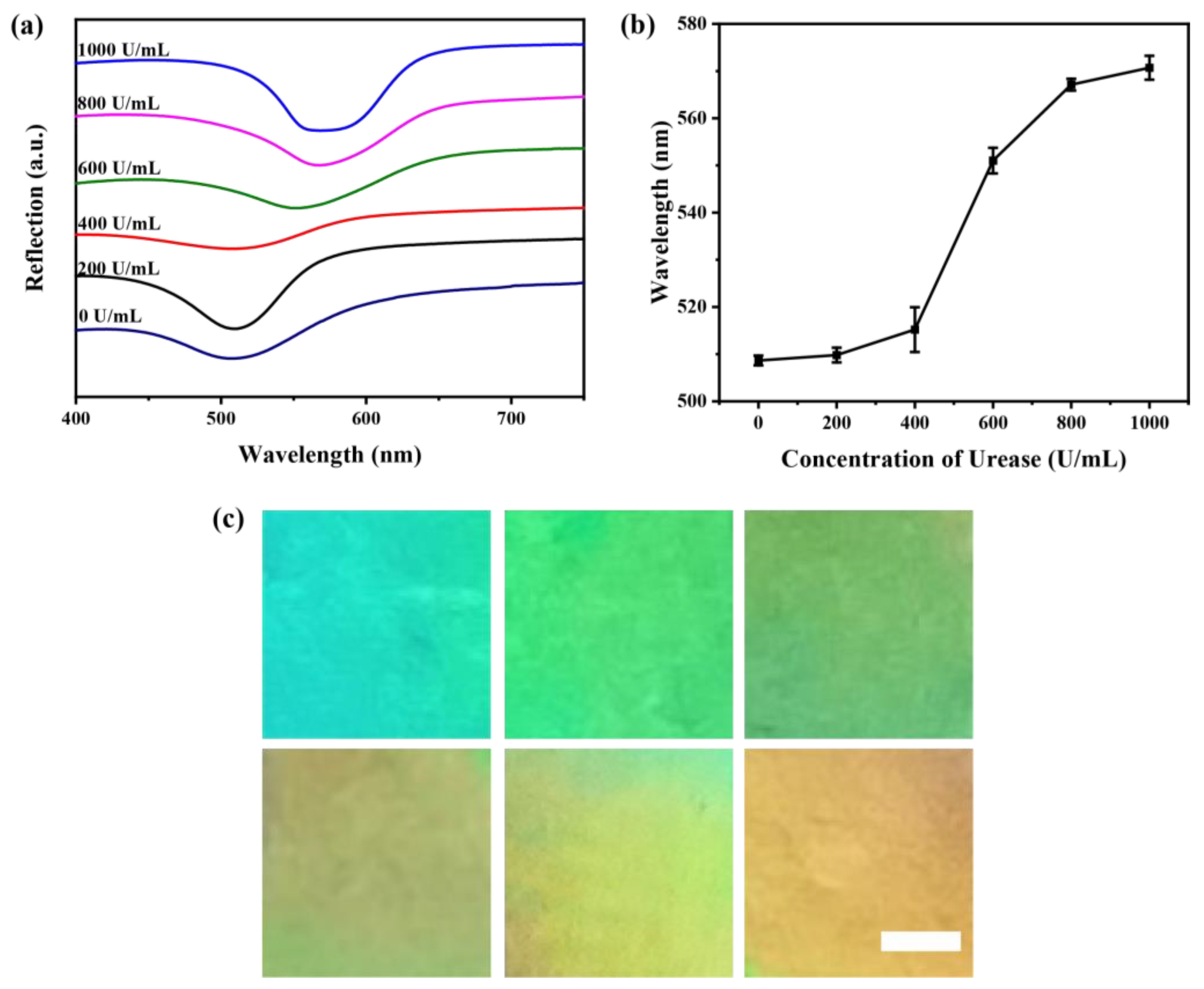 Chemosensors 10 00140 g010 550