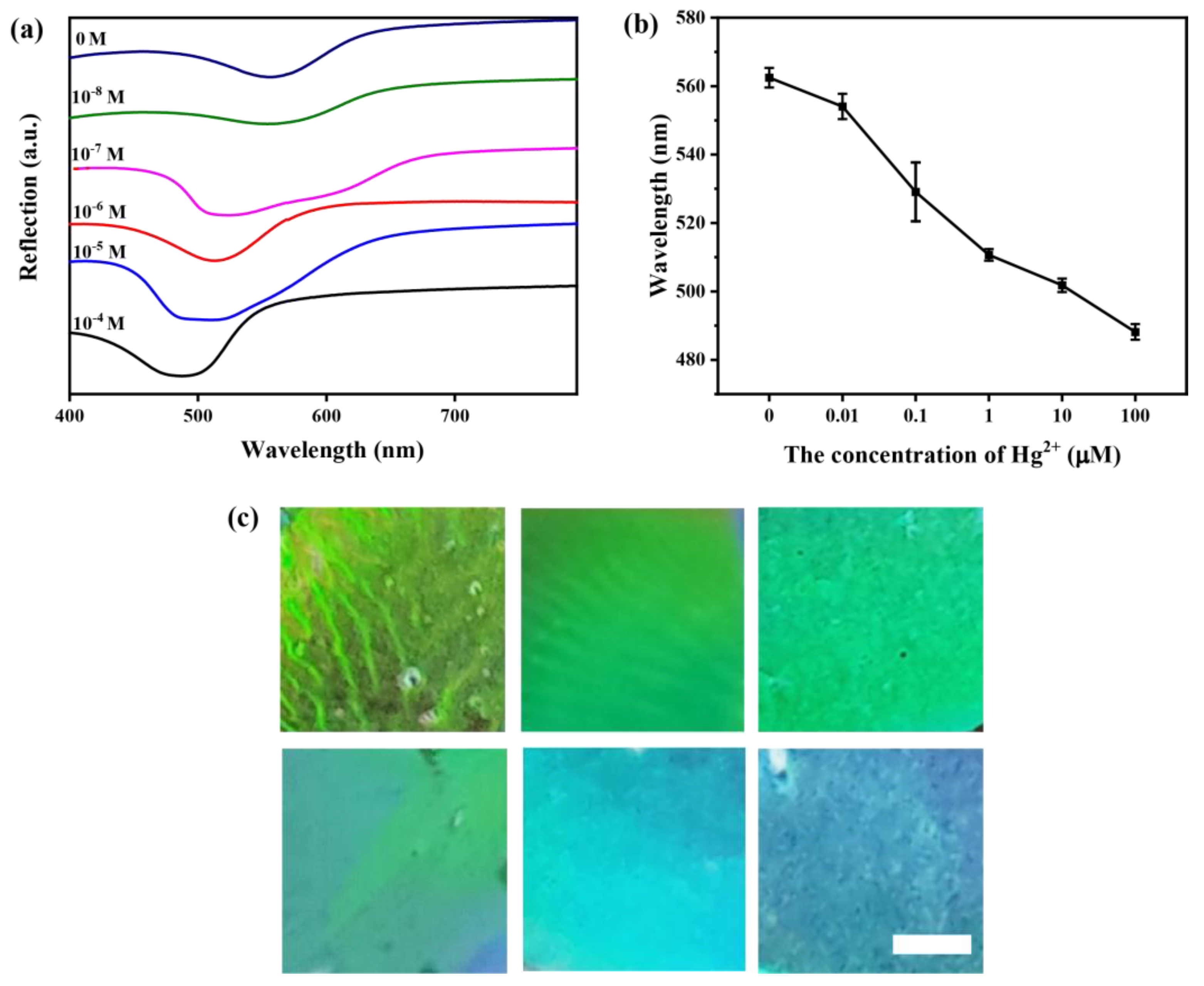 Chemosensors 10 00140 g011 550