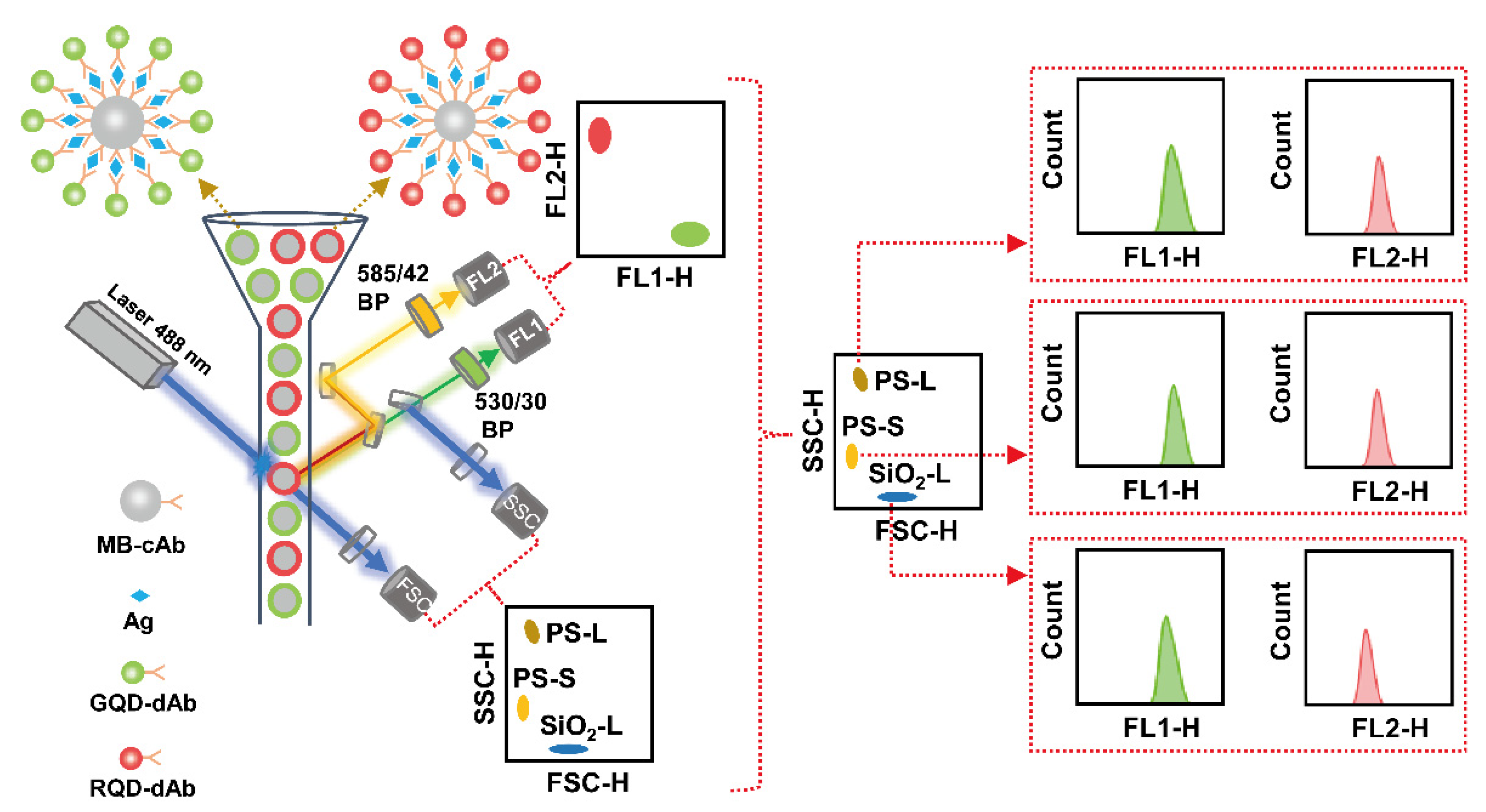 Chemosensors 10 00142 sch001