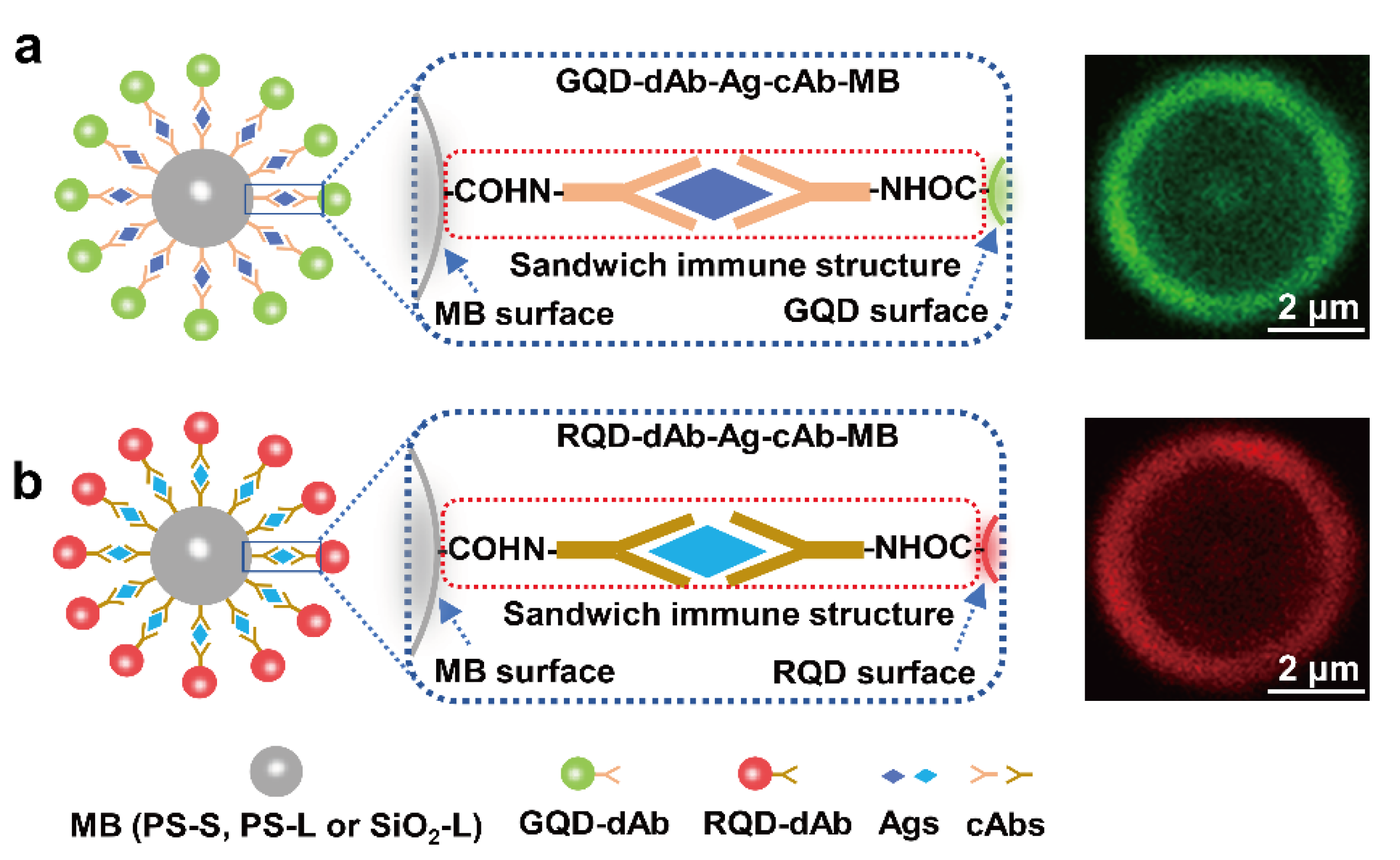 Chemosensors 10 00142 sch002