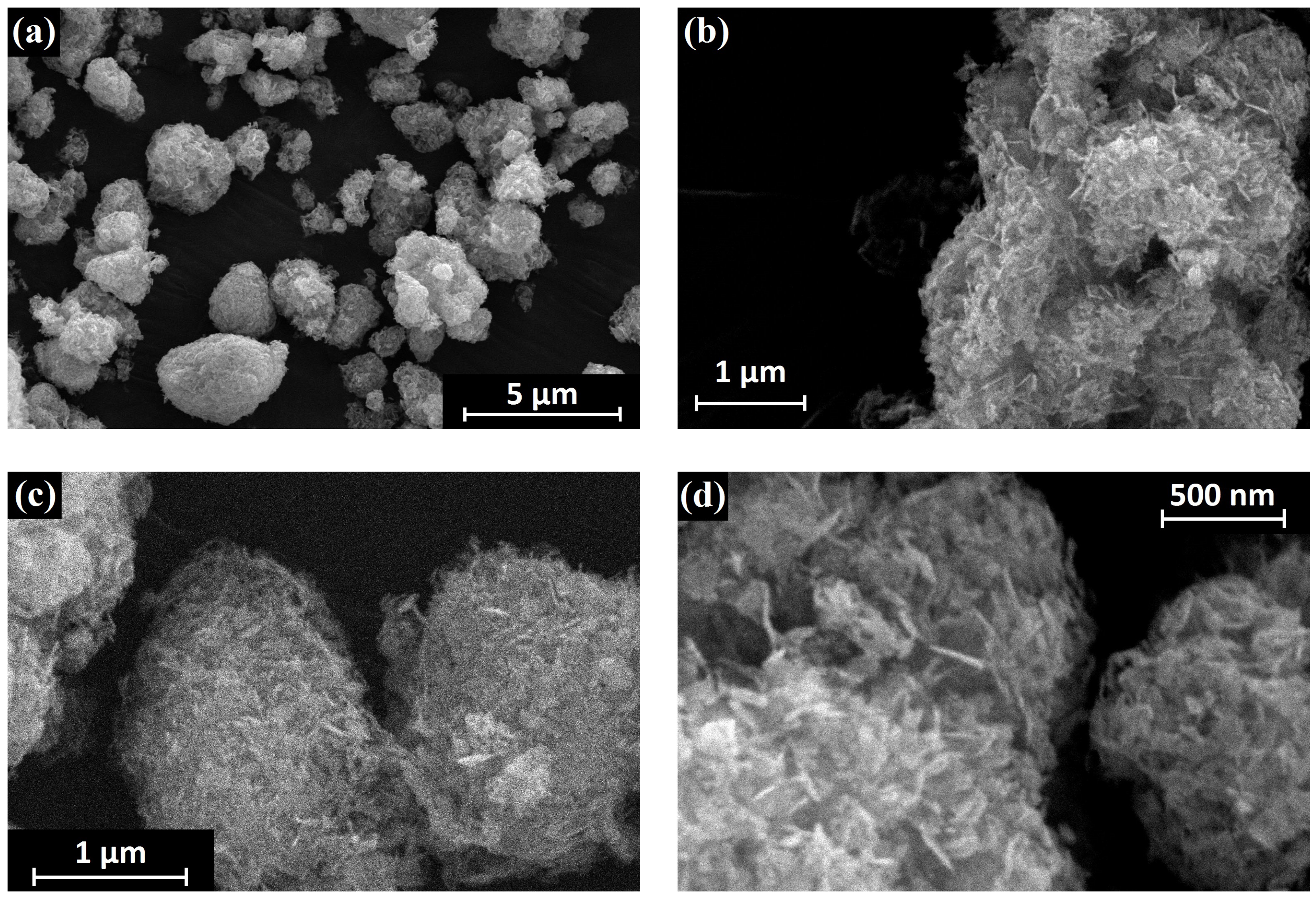 Chemosensors 10 00147 g005