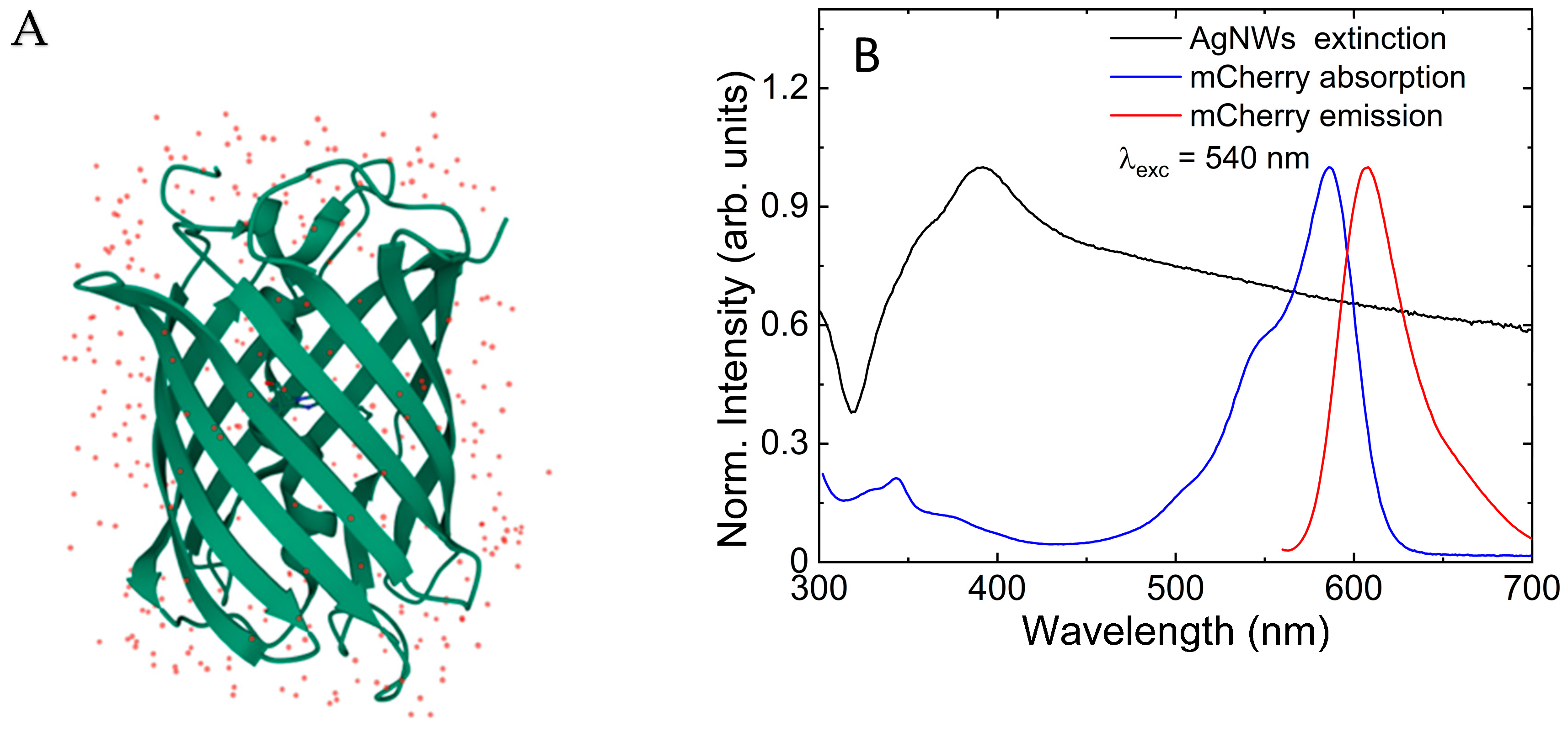 Chemosensors 10 00149 g001