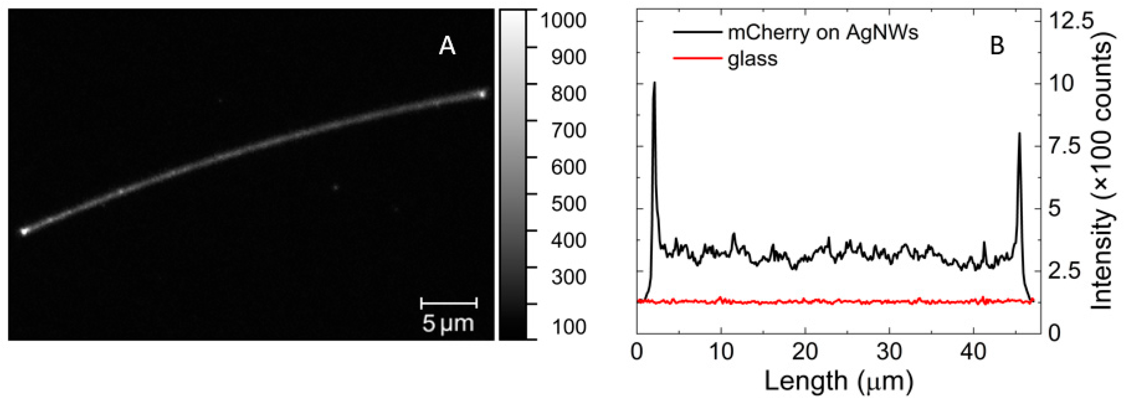 Chemosensors 10 00149 g004