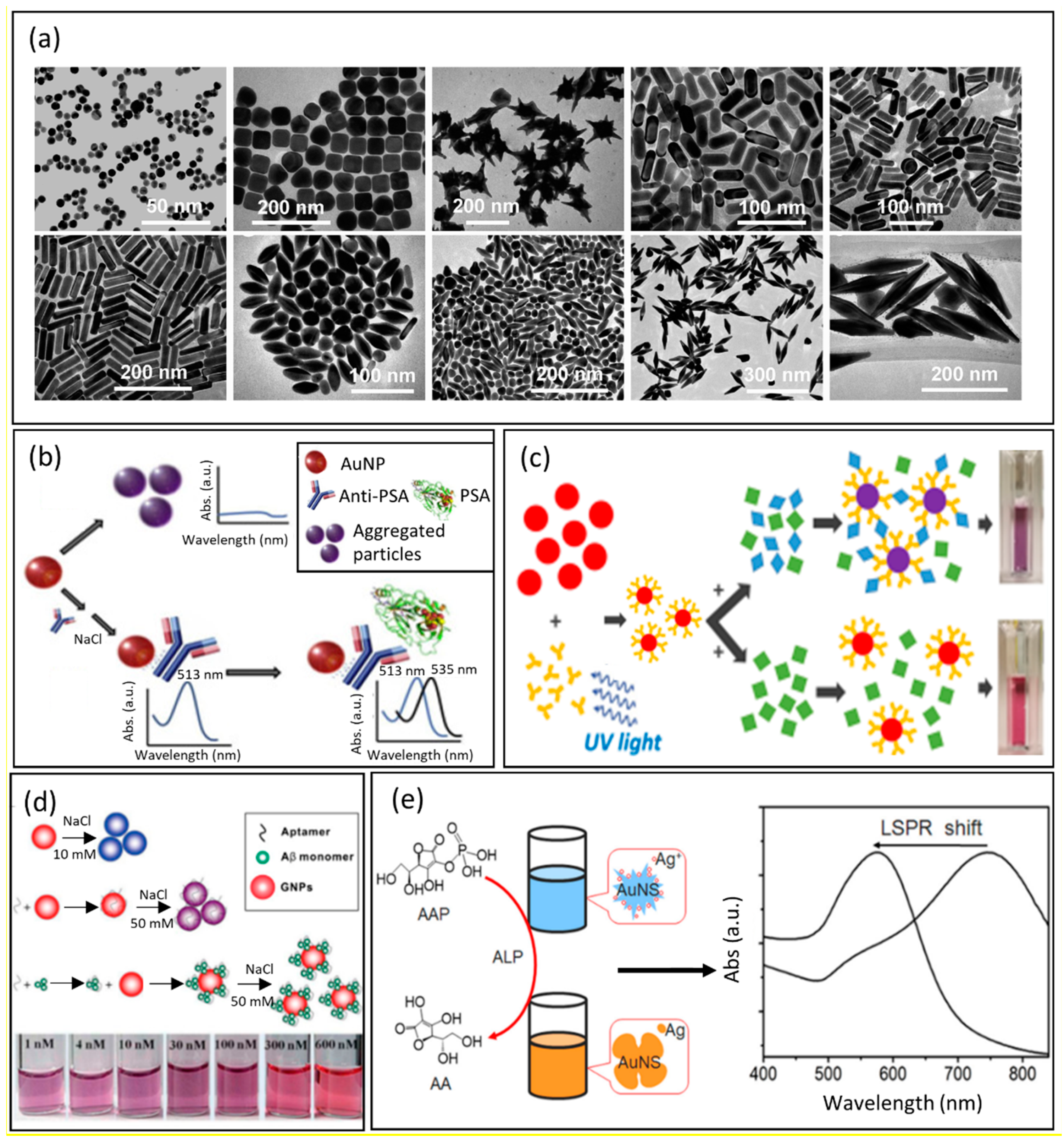 Chemosensors 10 00150 g001 550
