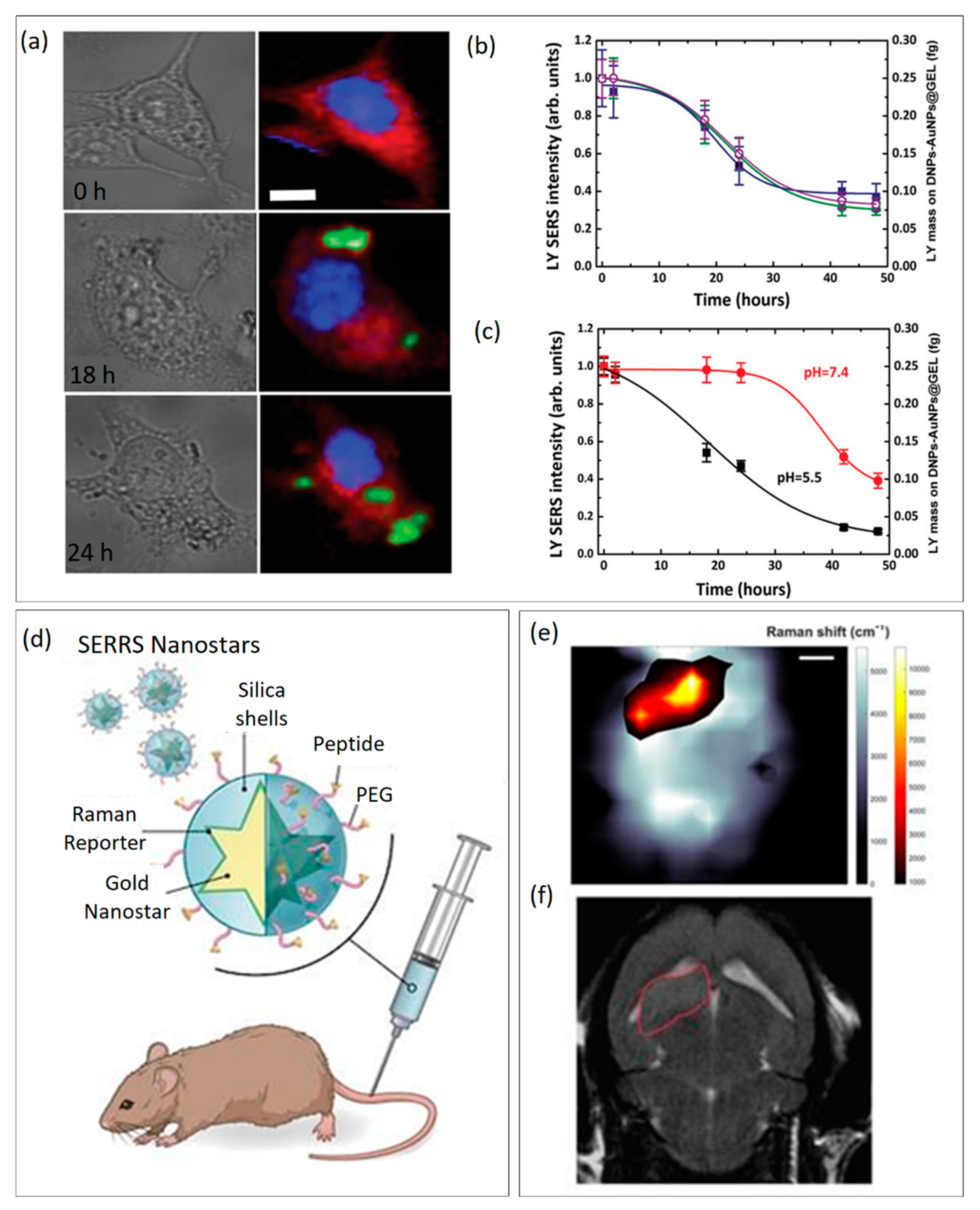 Chemosensors 10 00150 g002 550