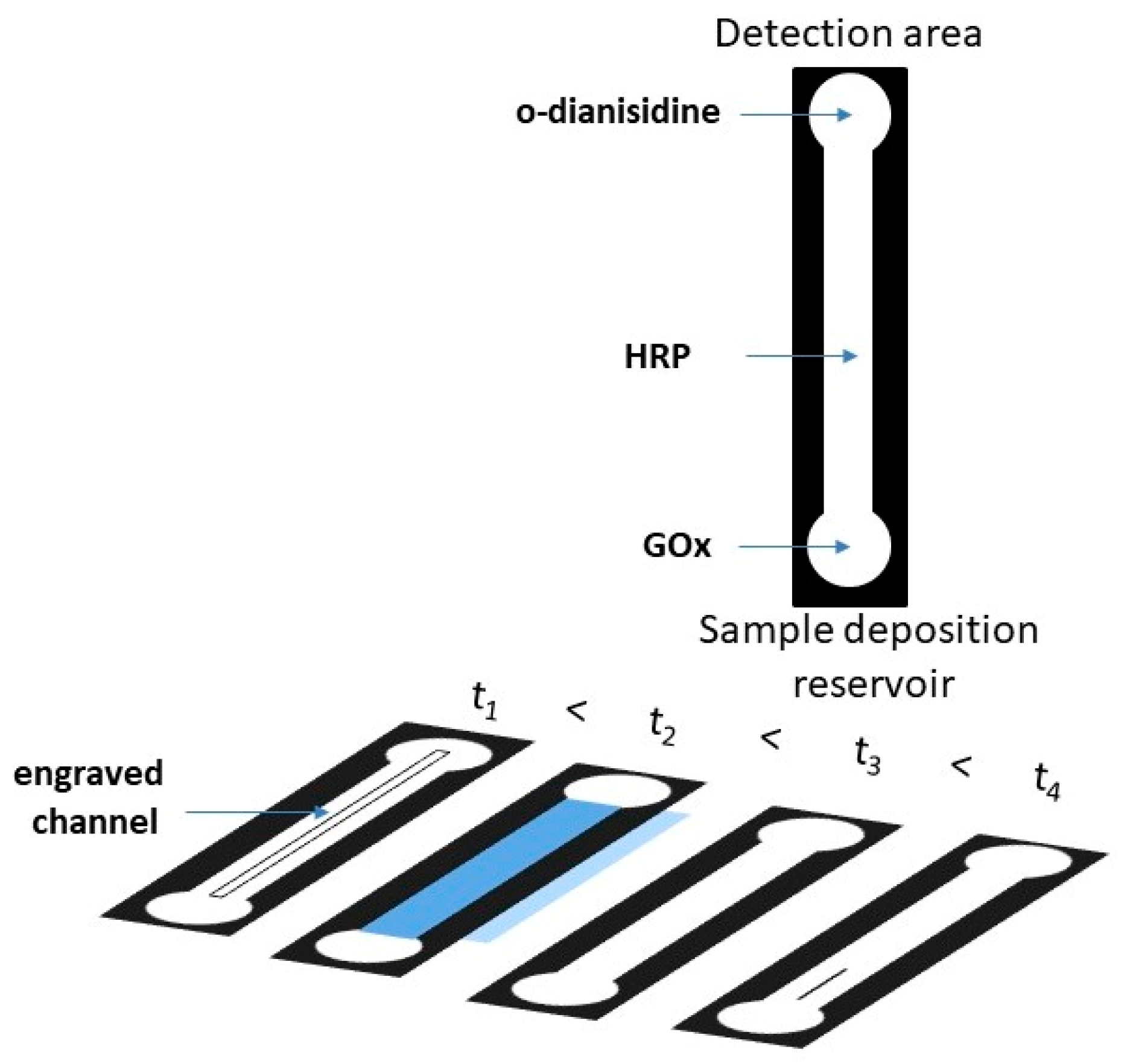 Chemosensors 10 00155 g002 550