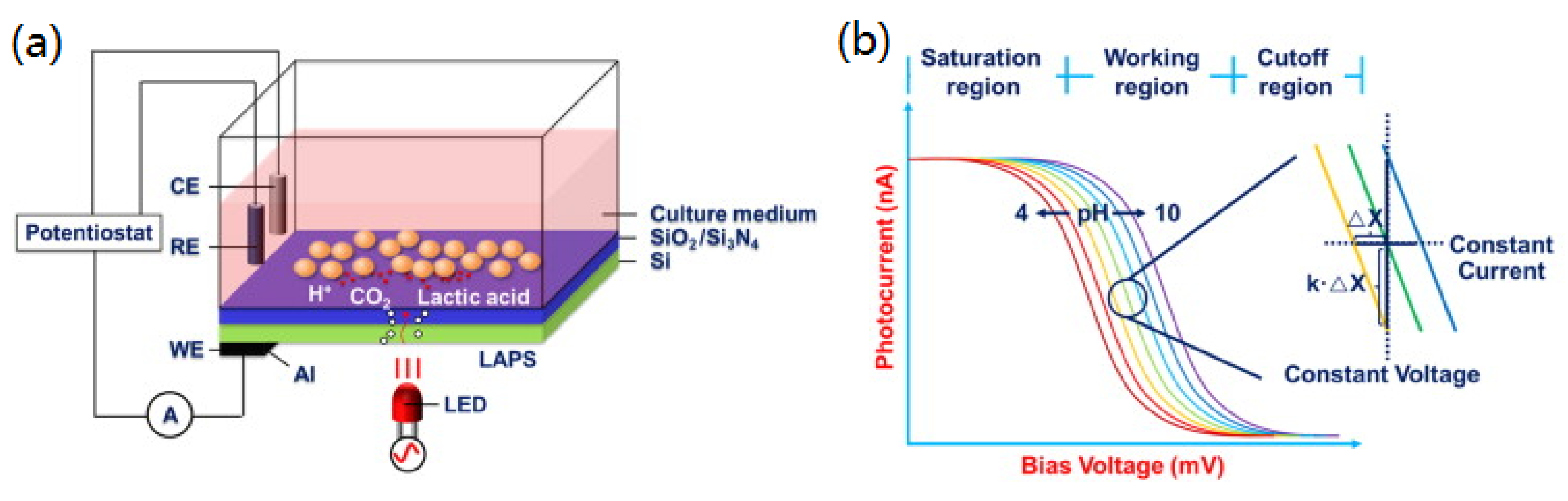 Chemosensors 10 00156 g002 Chemosensors 10 00156 g002