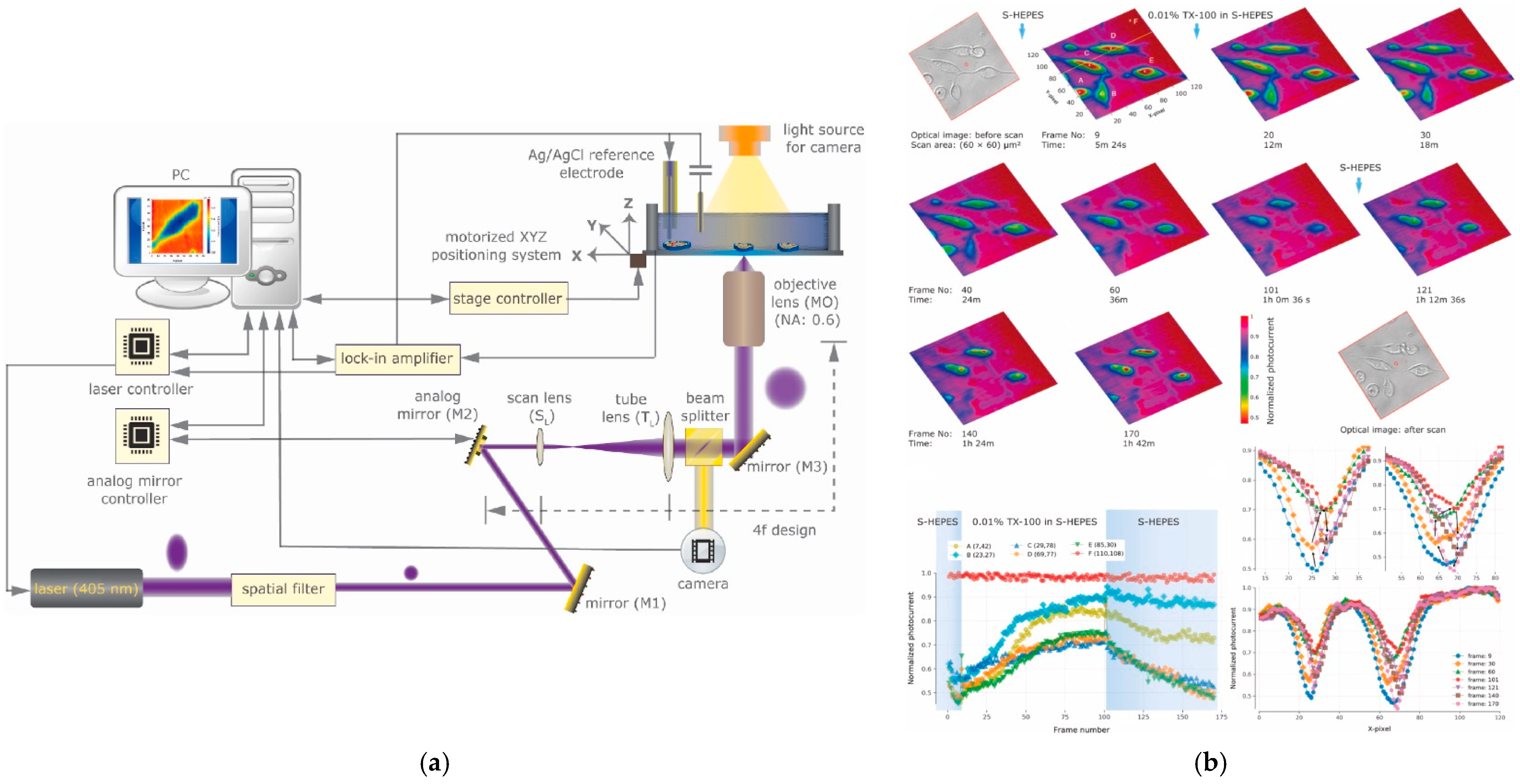 Chemosensors 10 00156 g007 Chemosensors 10 00156 g007