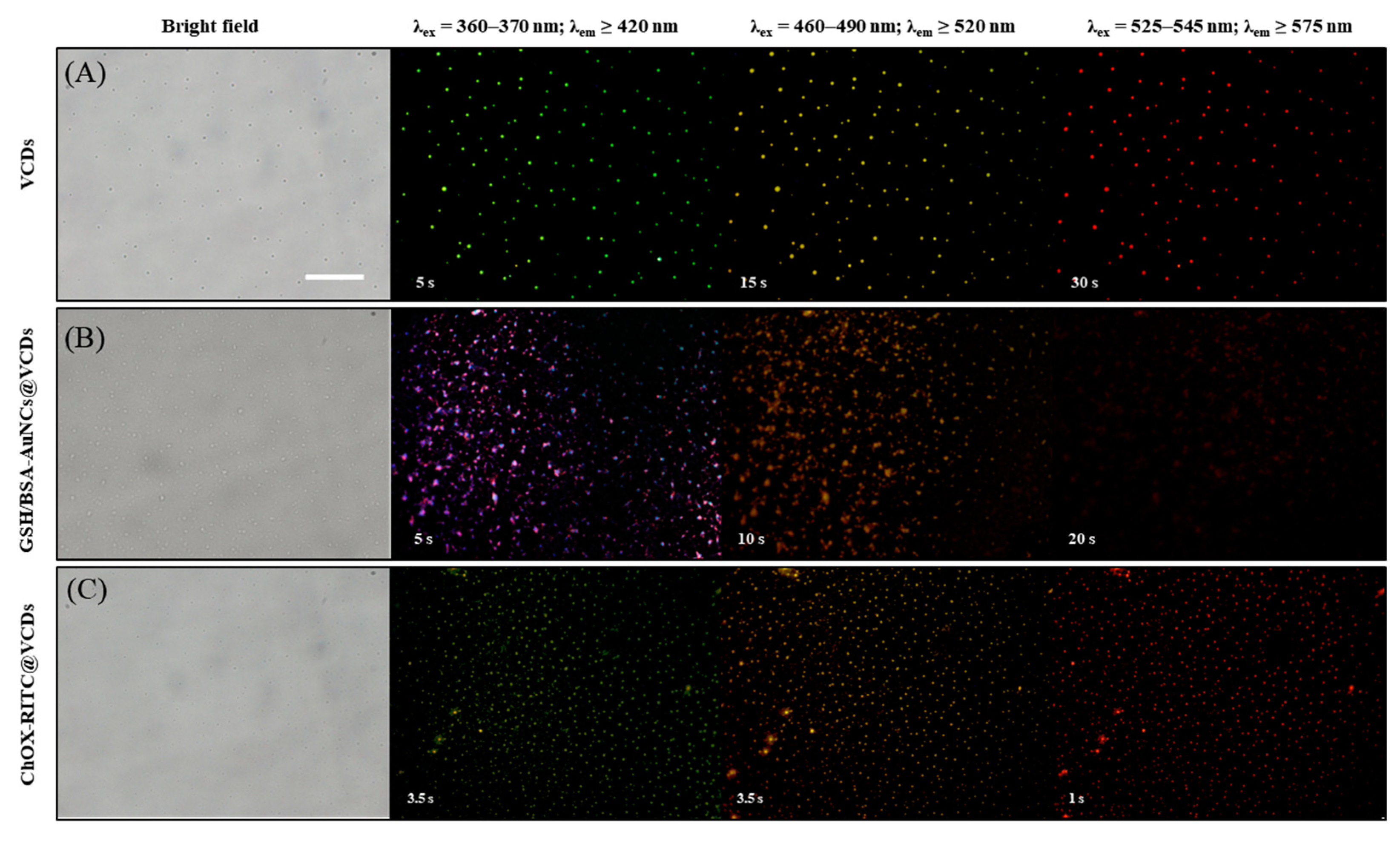 Chemosensors 10 00160 g004 550