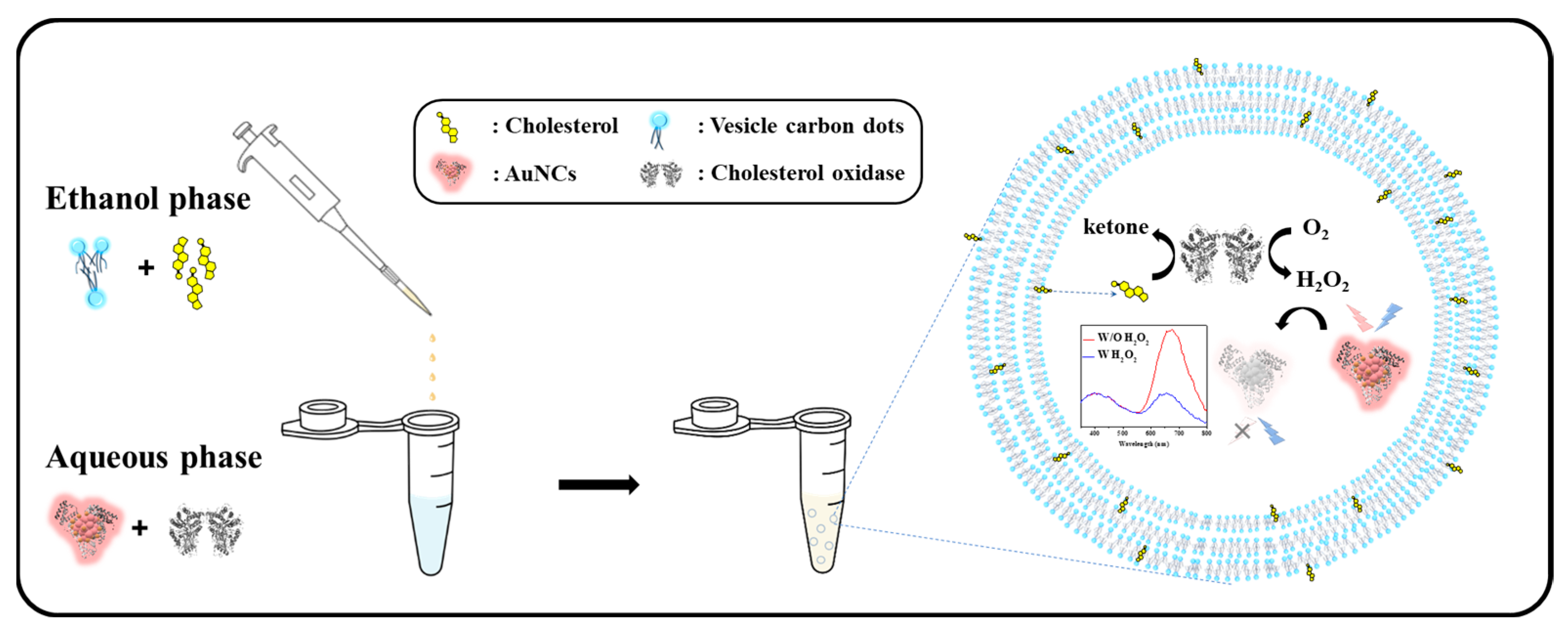 Chemosensors 10 00160 sch001 550