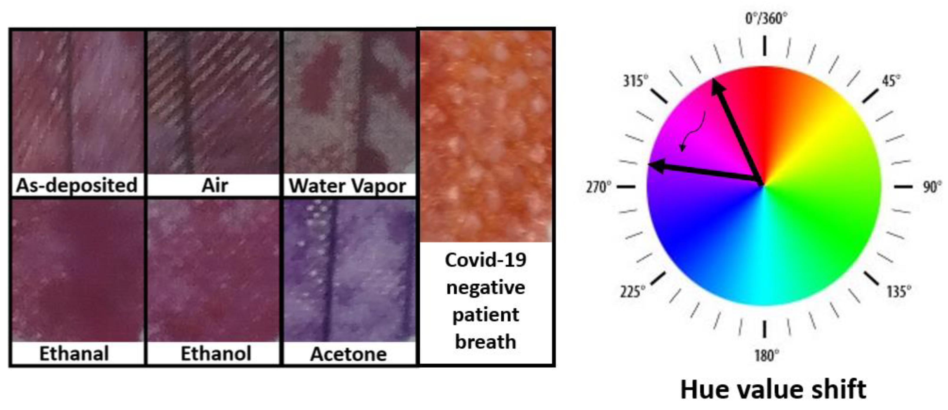 Chemosensors 10 00167 g002