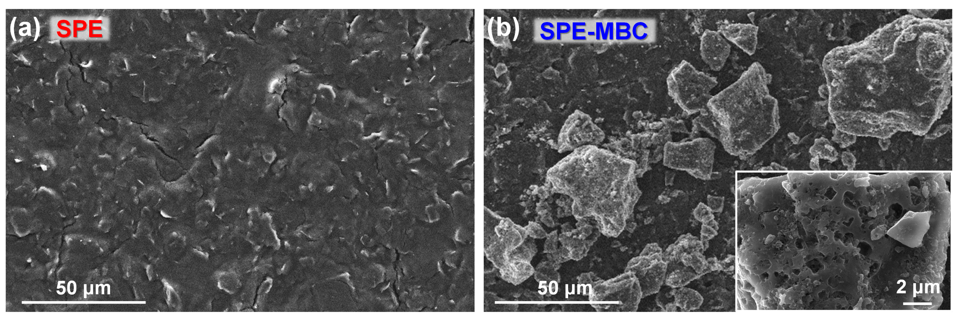 Chemosensors 10 00168 g005
