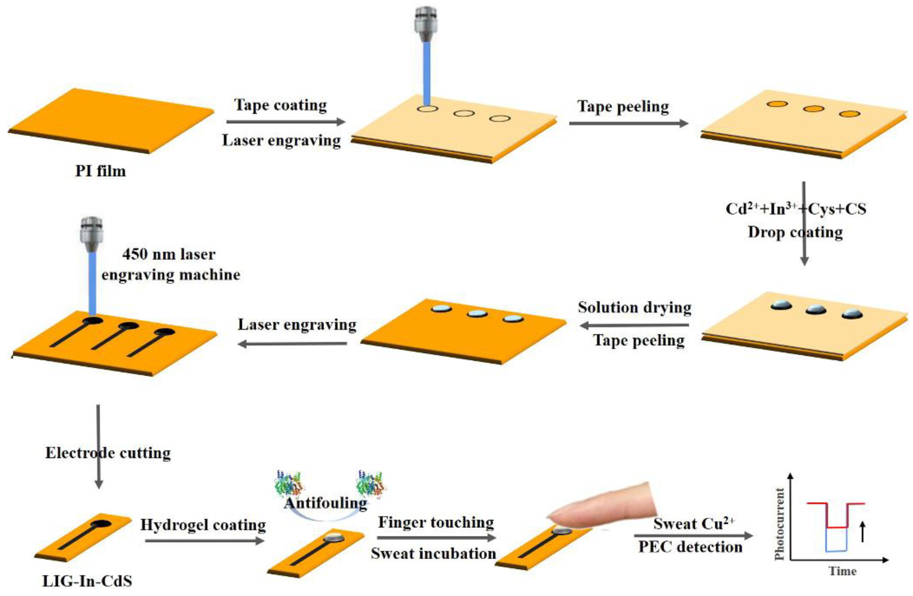 Chemosensors 10 00169 g001