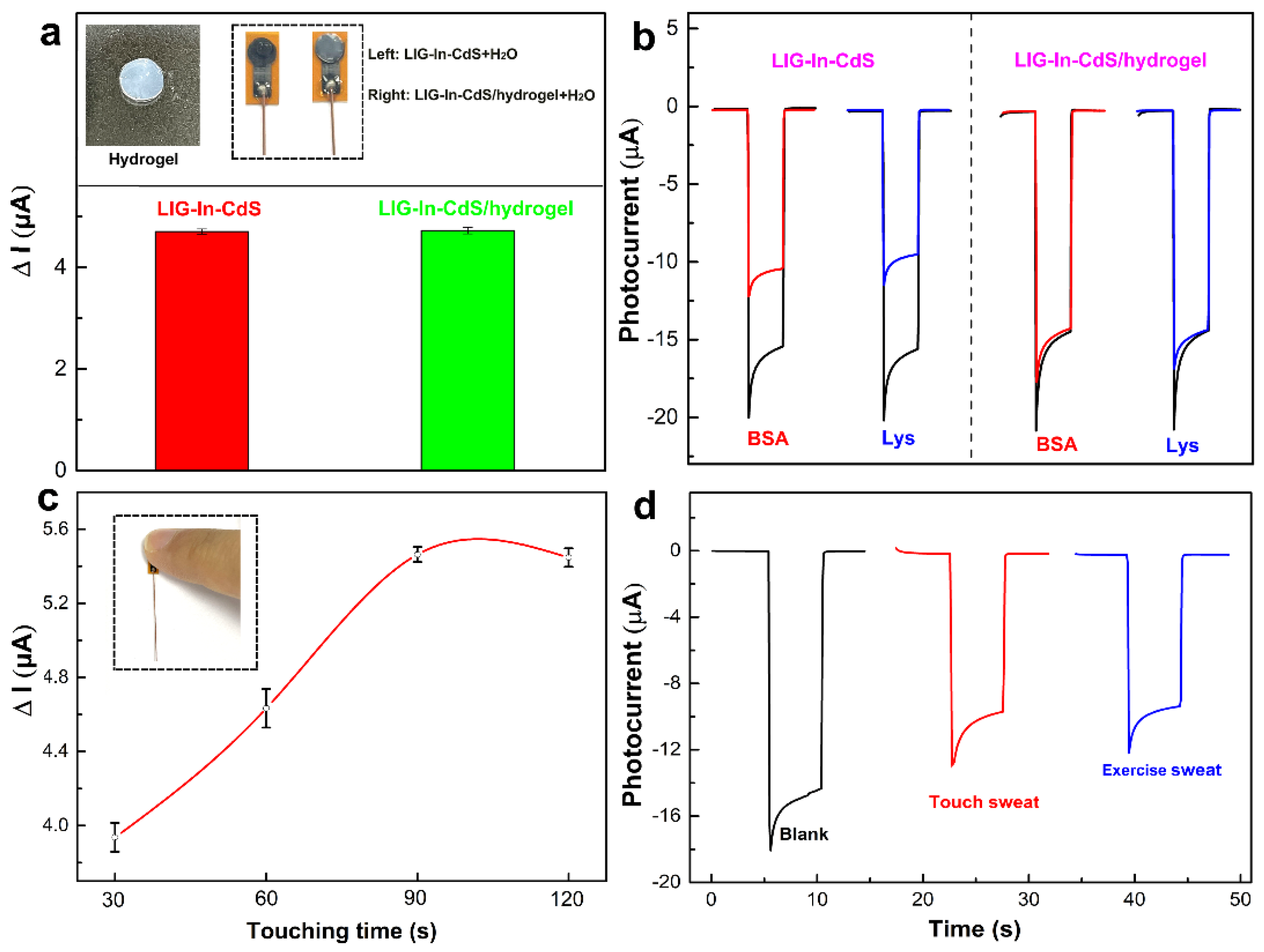 Chemosensors 10 00169 g006