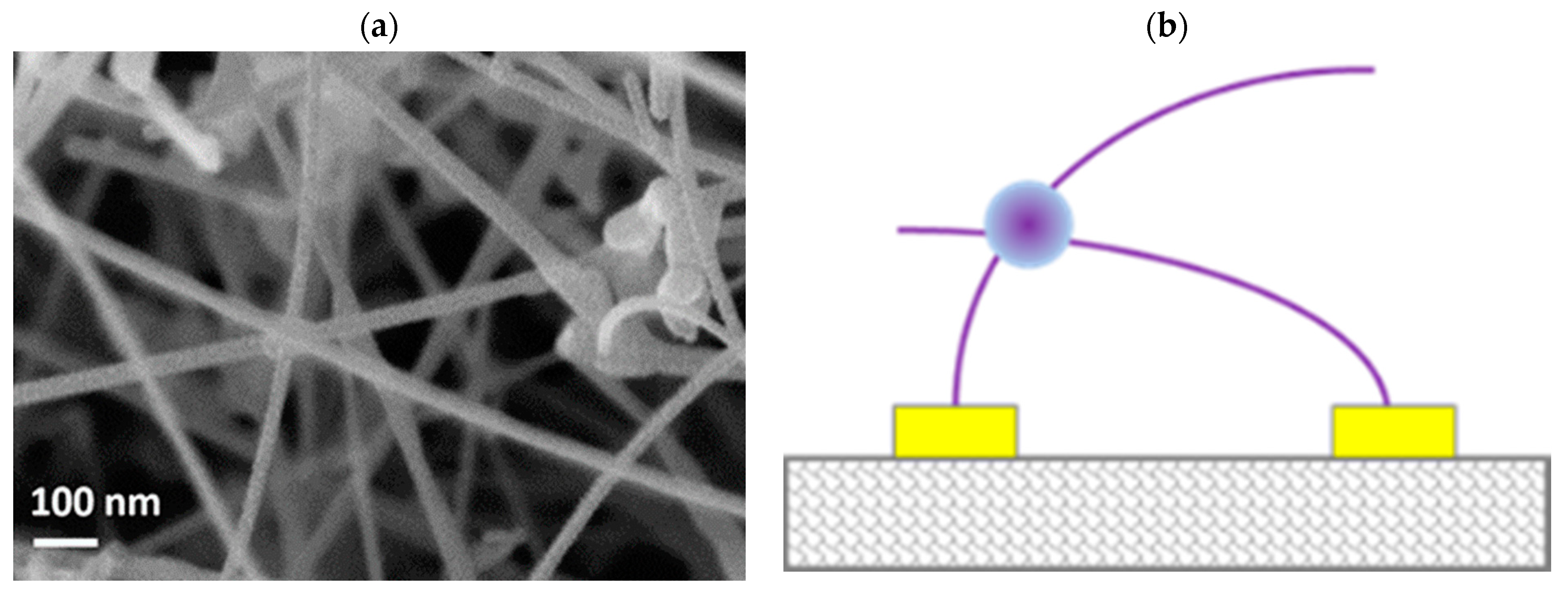 Chemosensors 10 00171 g001 550