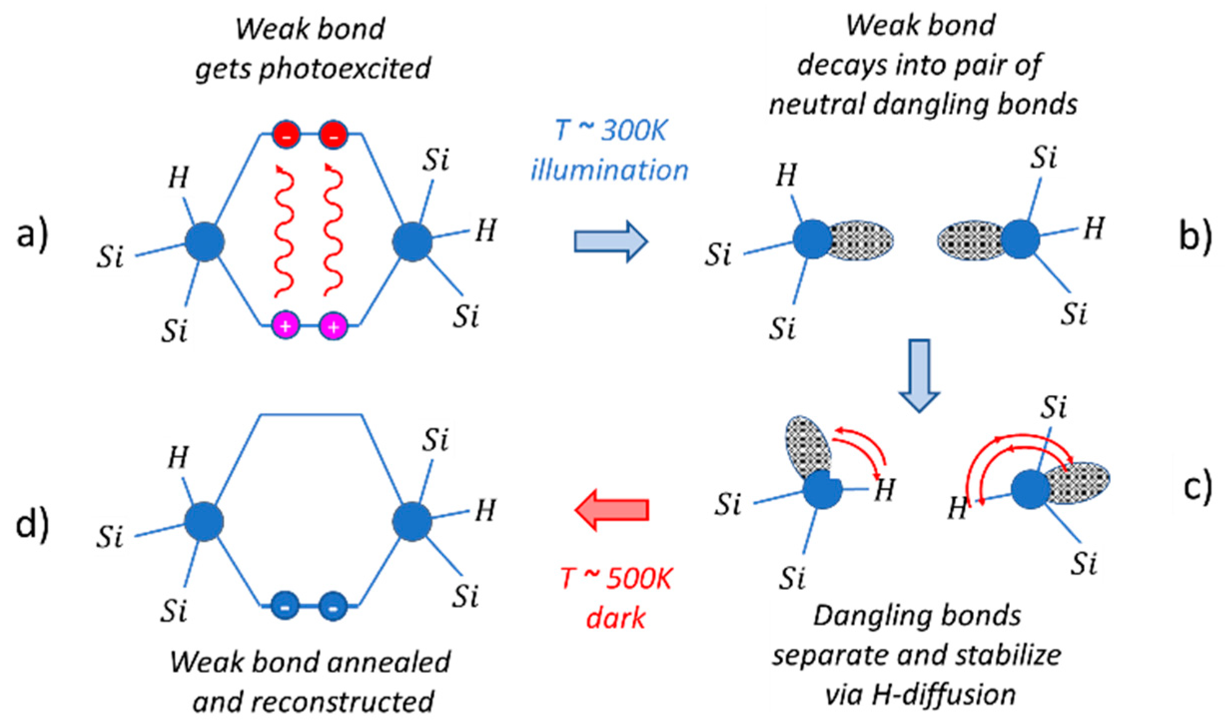 Chemosensors 10 00171 g0a5 550