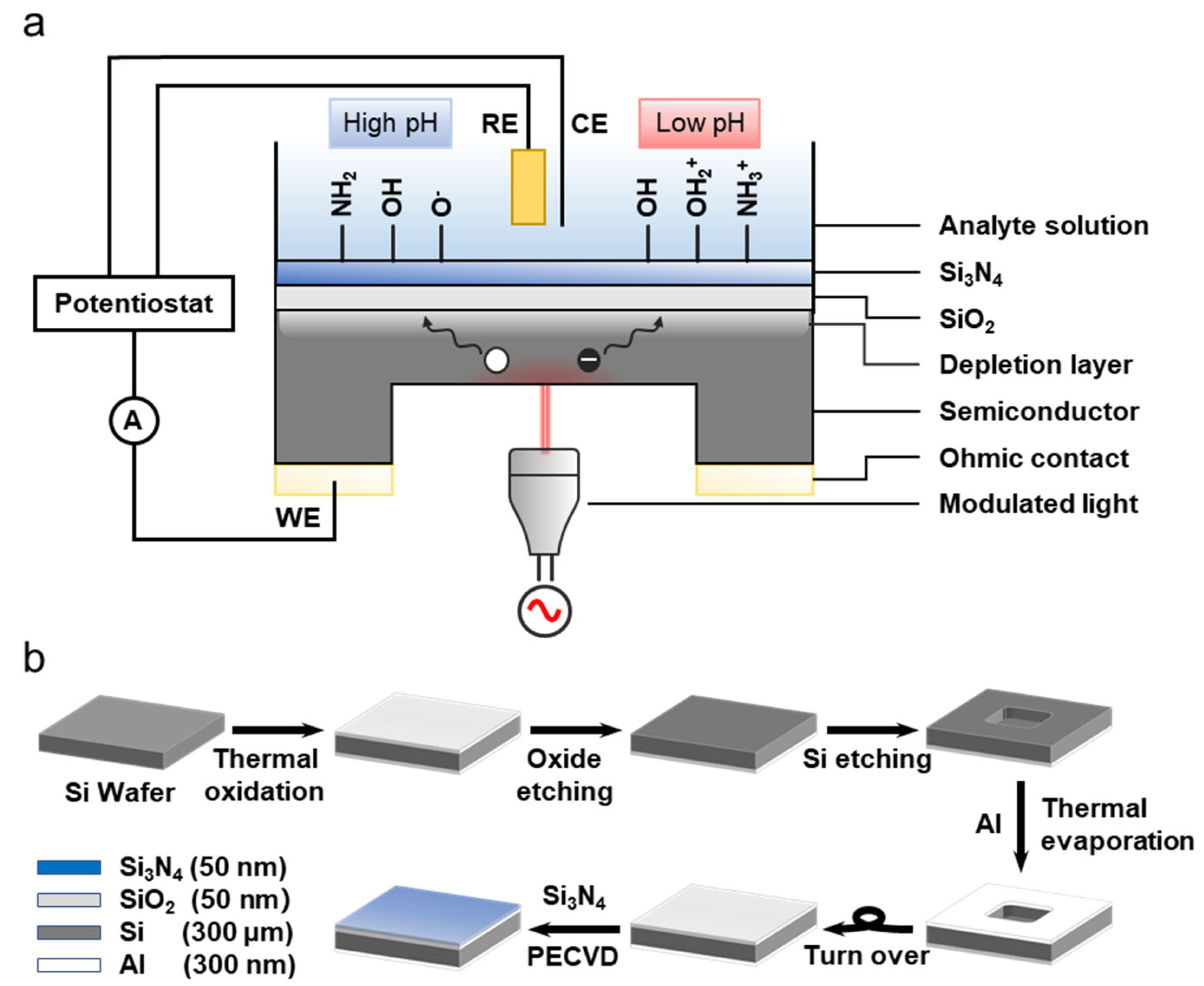 Chemosensors 10 00177 g002 550
