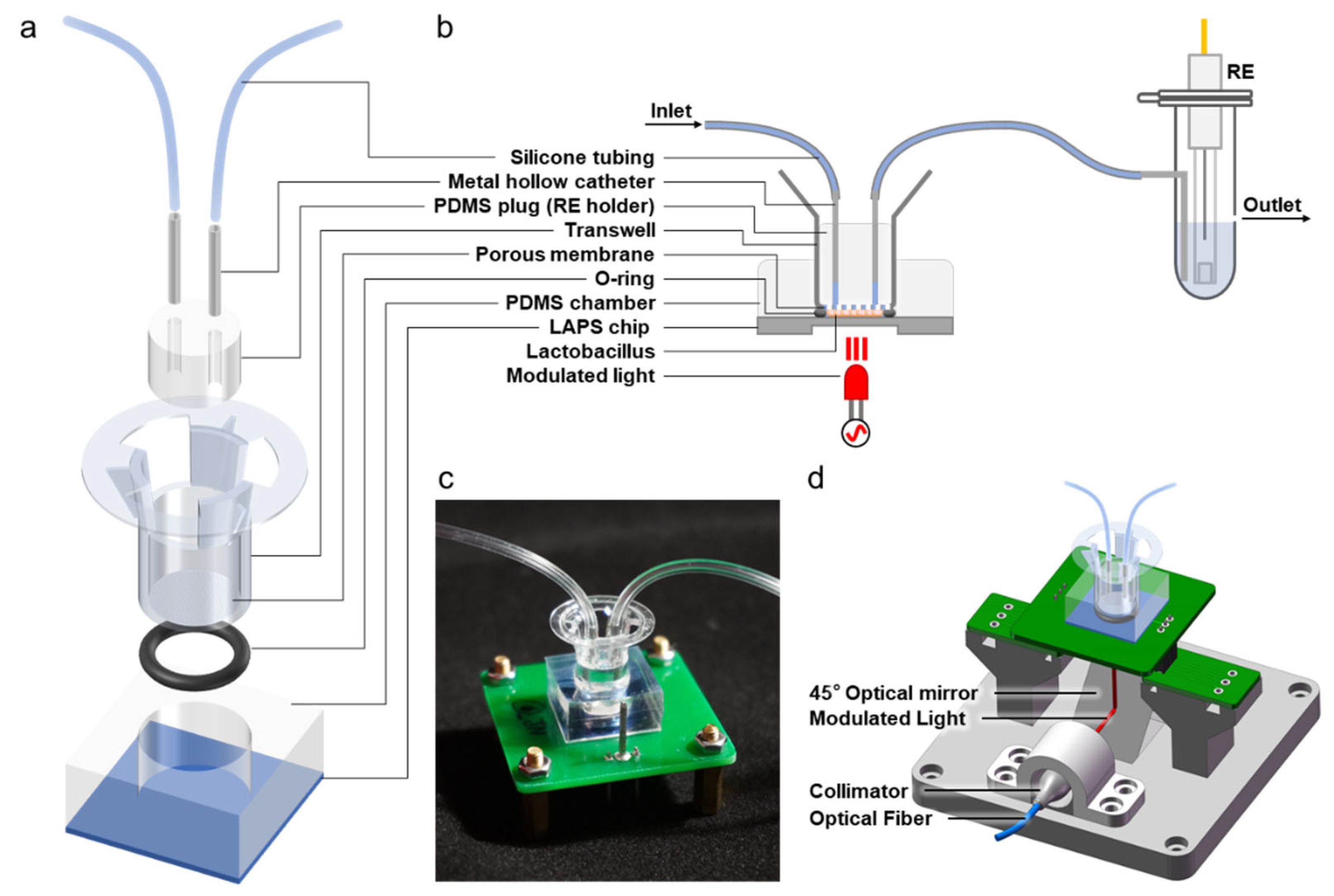 Chemosensors 10 00177 g003 550