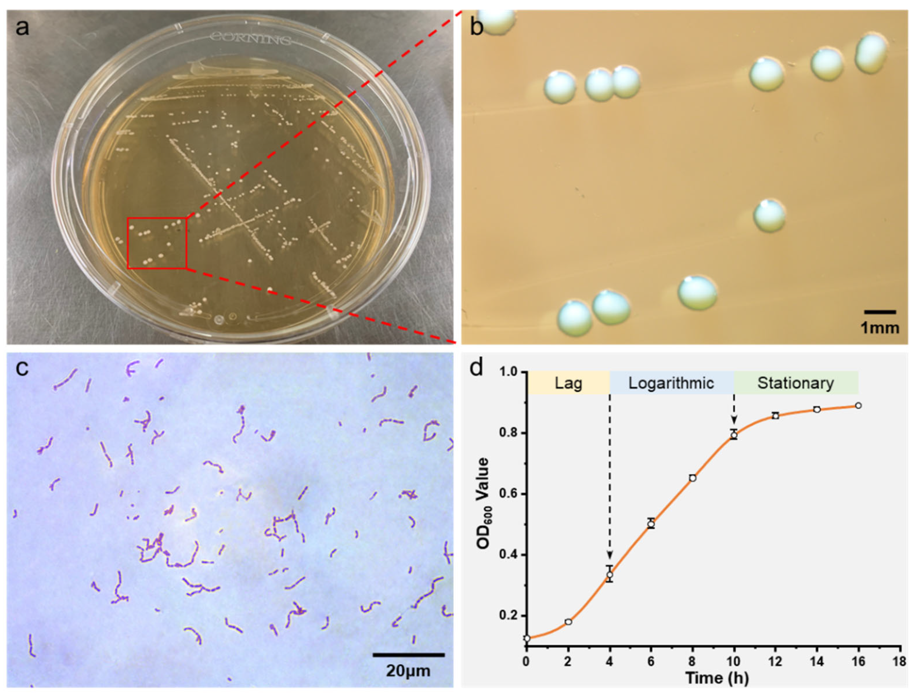 Chemosensors 10 00177 g005 550