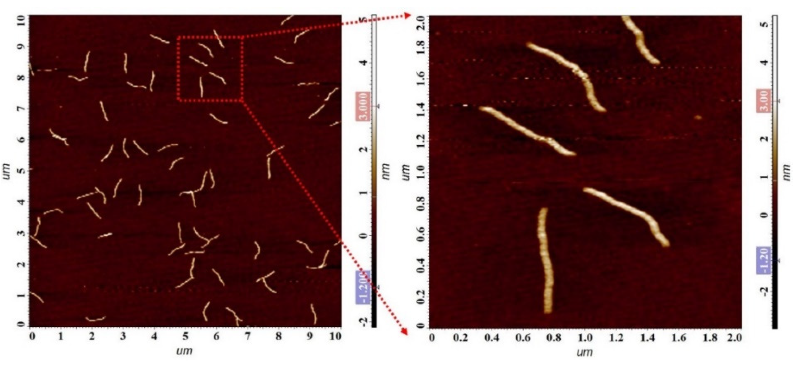 Chemosensors 10 00184 g003