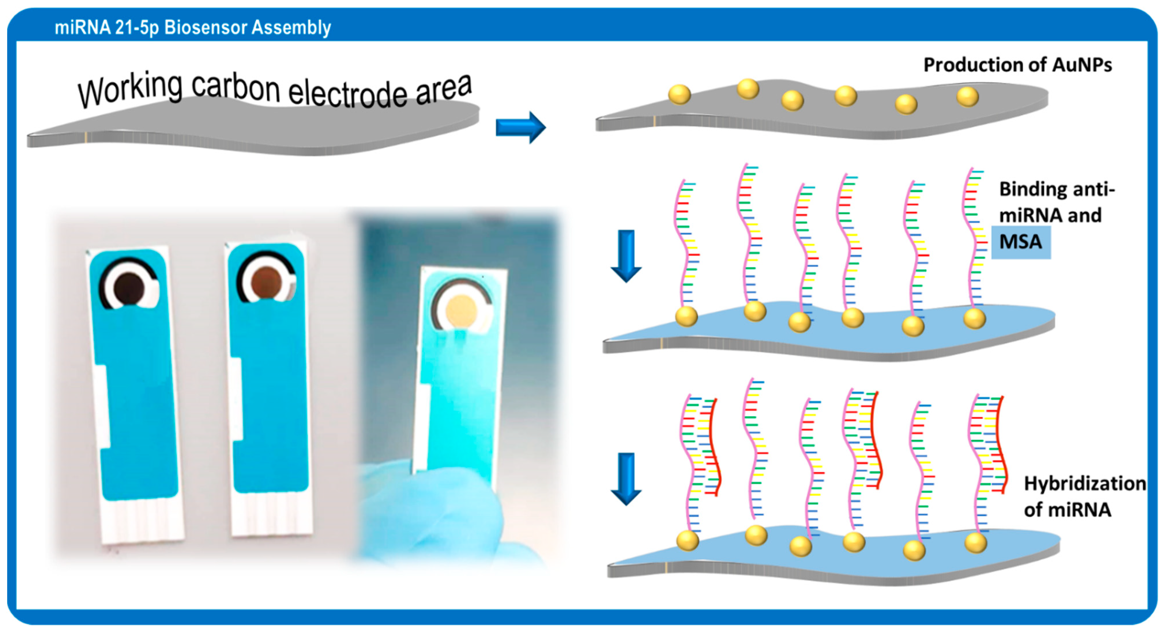 Chemosensors 10 00189 g001