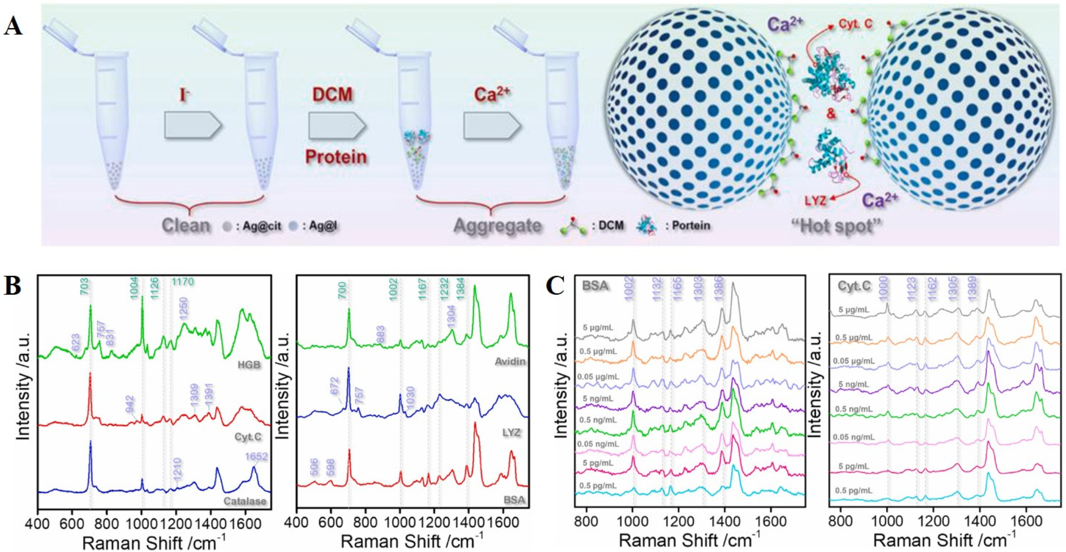 Chemosensors 10 00190 g003 550